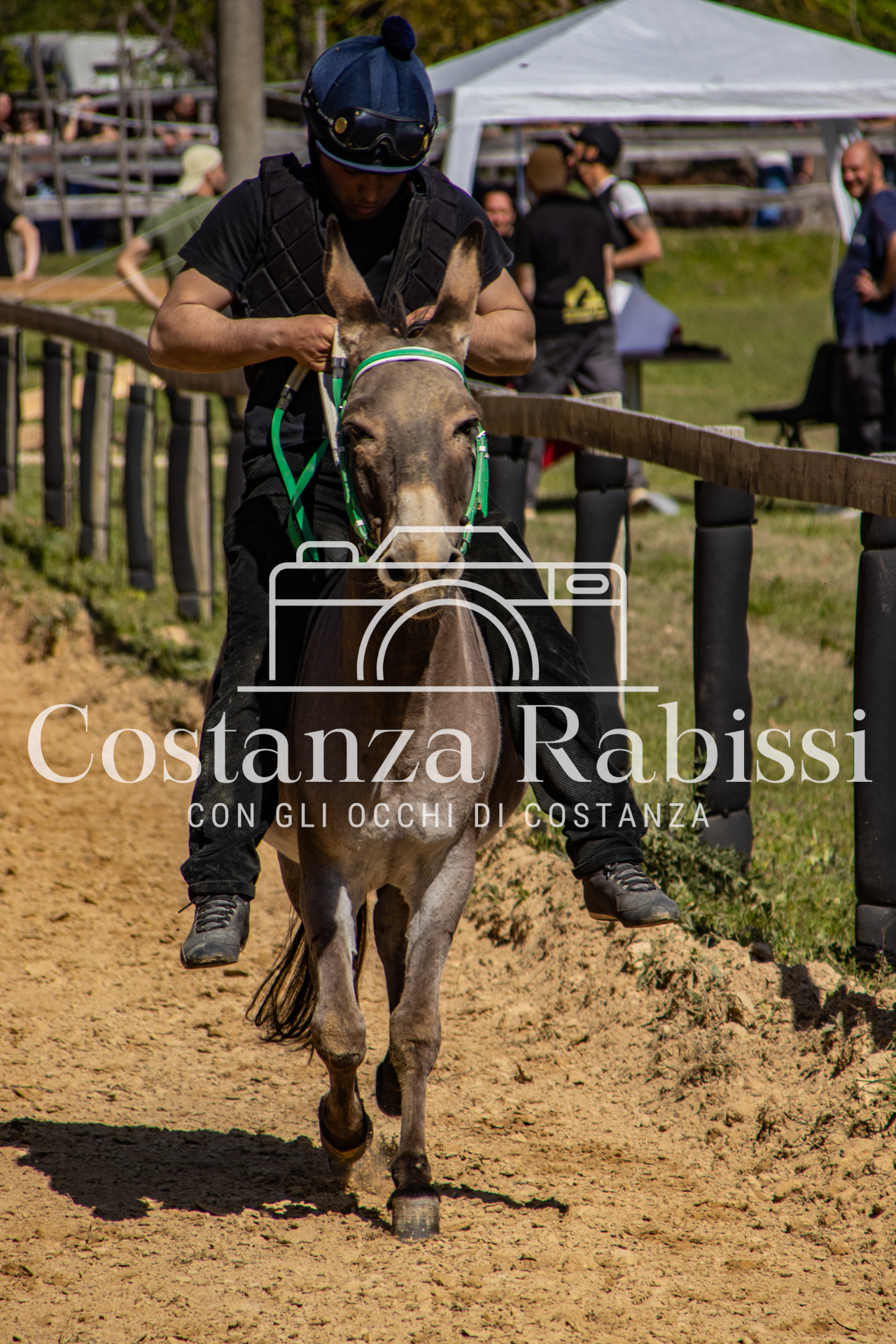 Meeting on the hills - 112