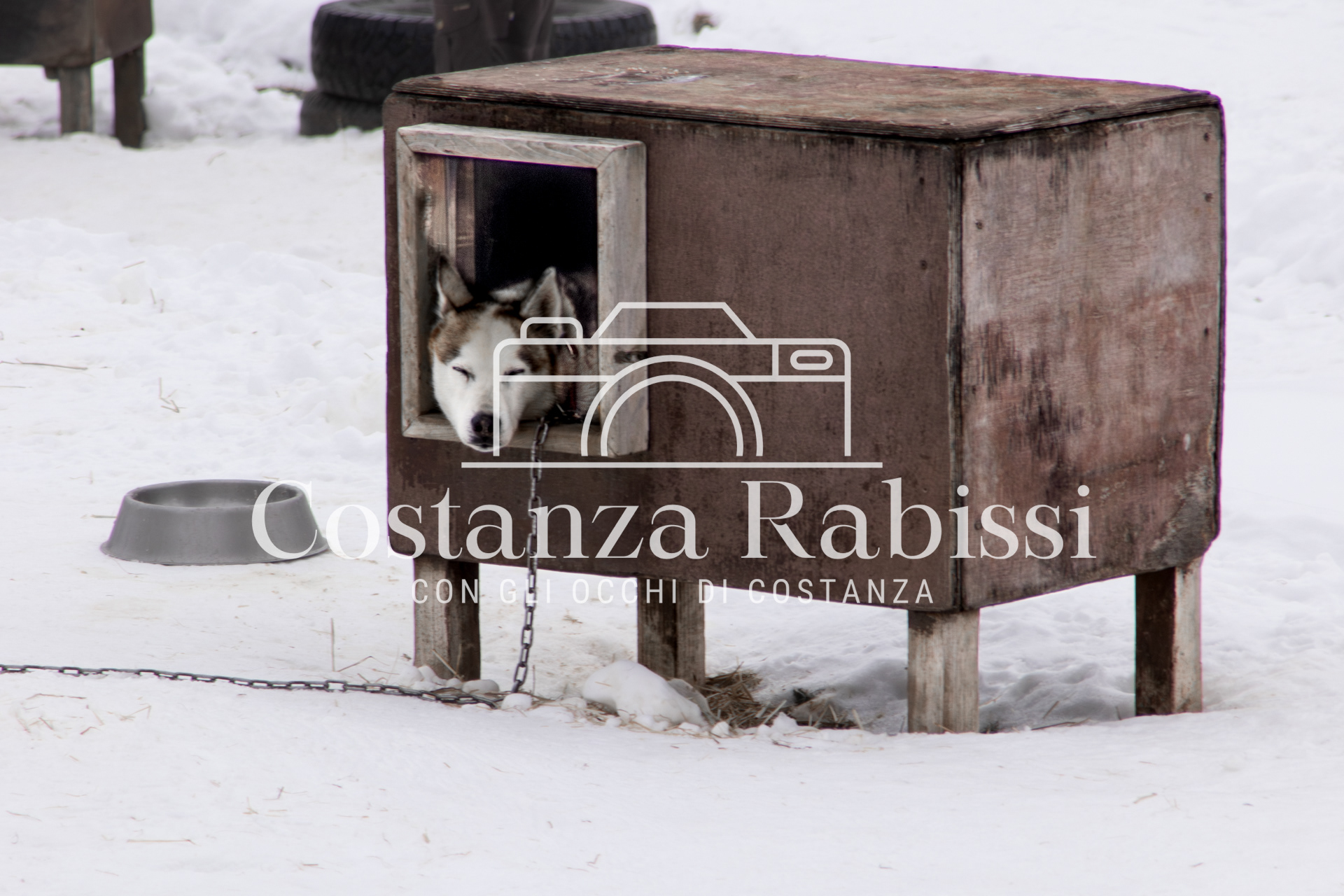 Passo del Tonale Inverno - 72