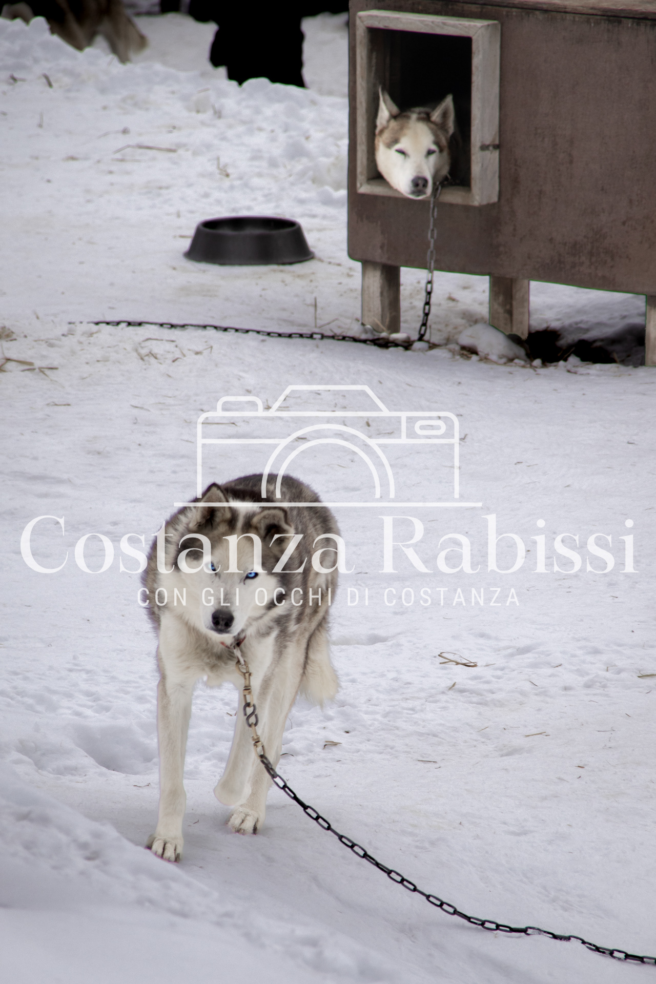 Passo del Tonale Inverno - 69