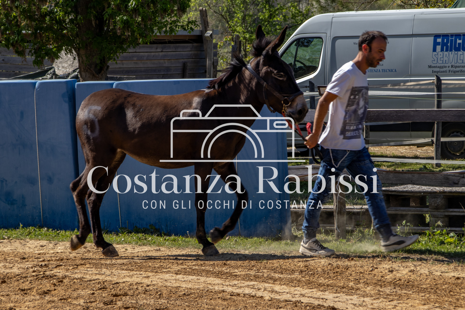 Meeting on the hills - 196