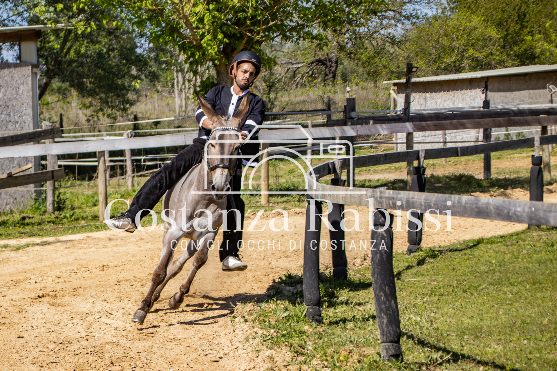 Meeting on the hills - 79