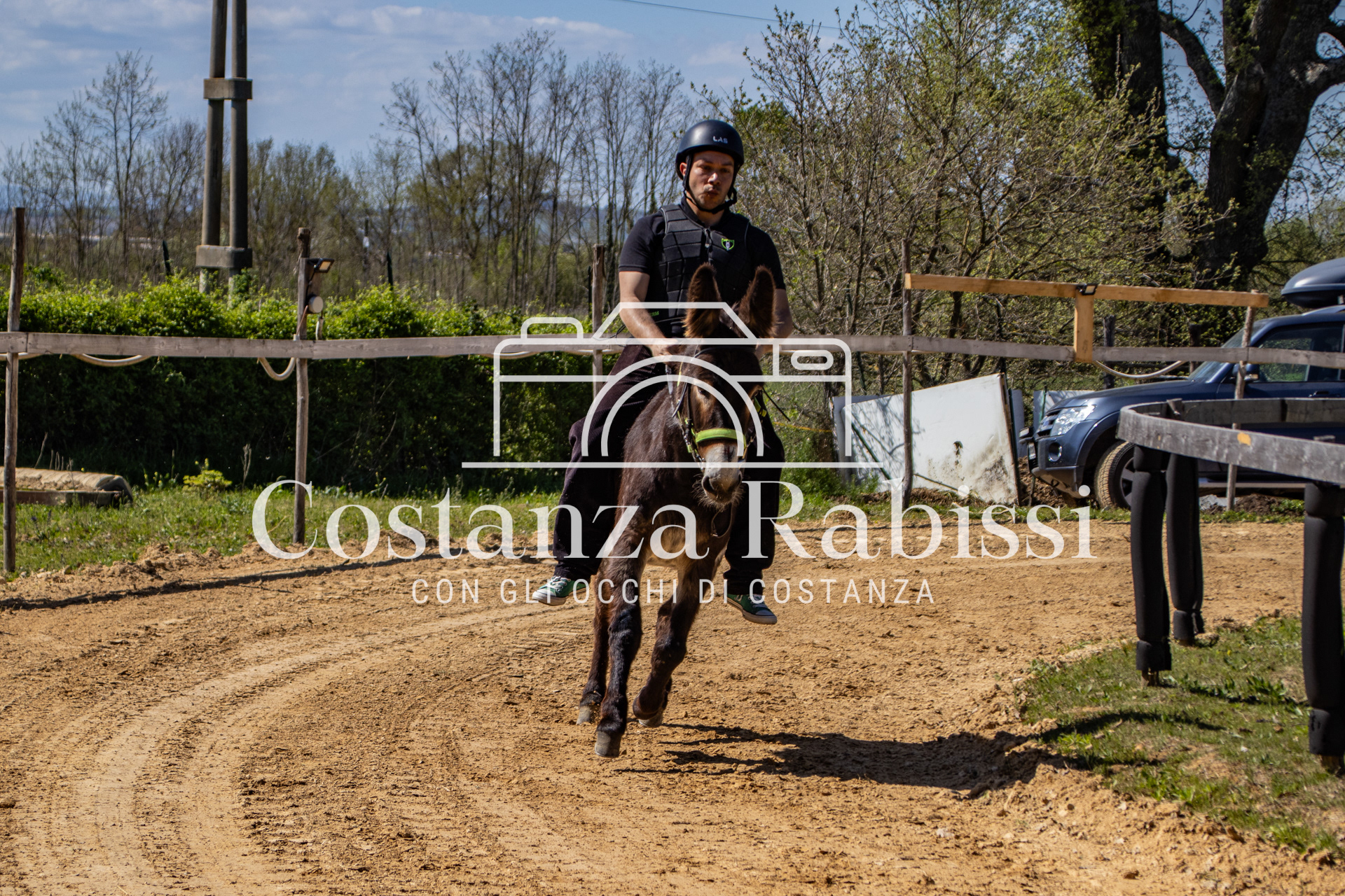 Meeting on the hills - 56