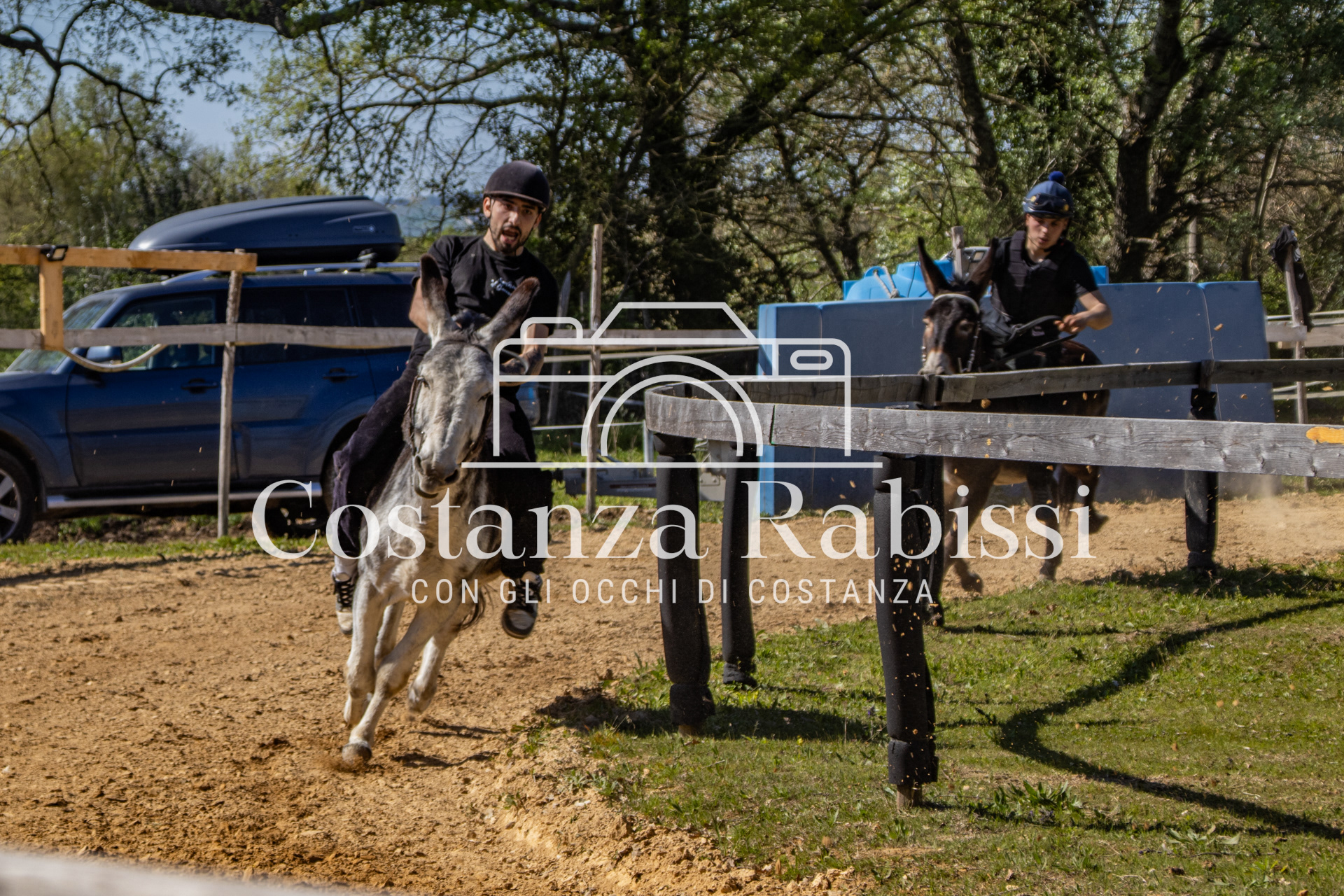 Meeting on the hills - 162