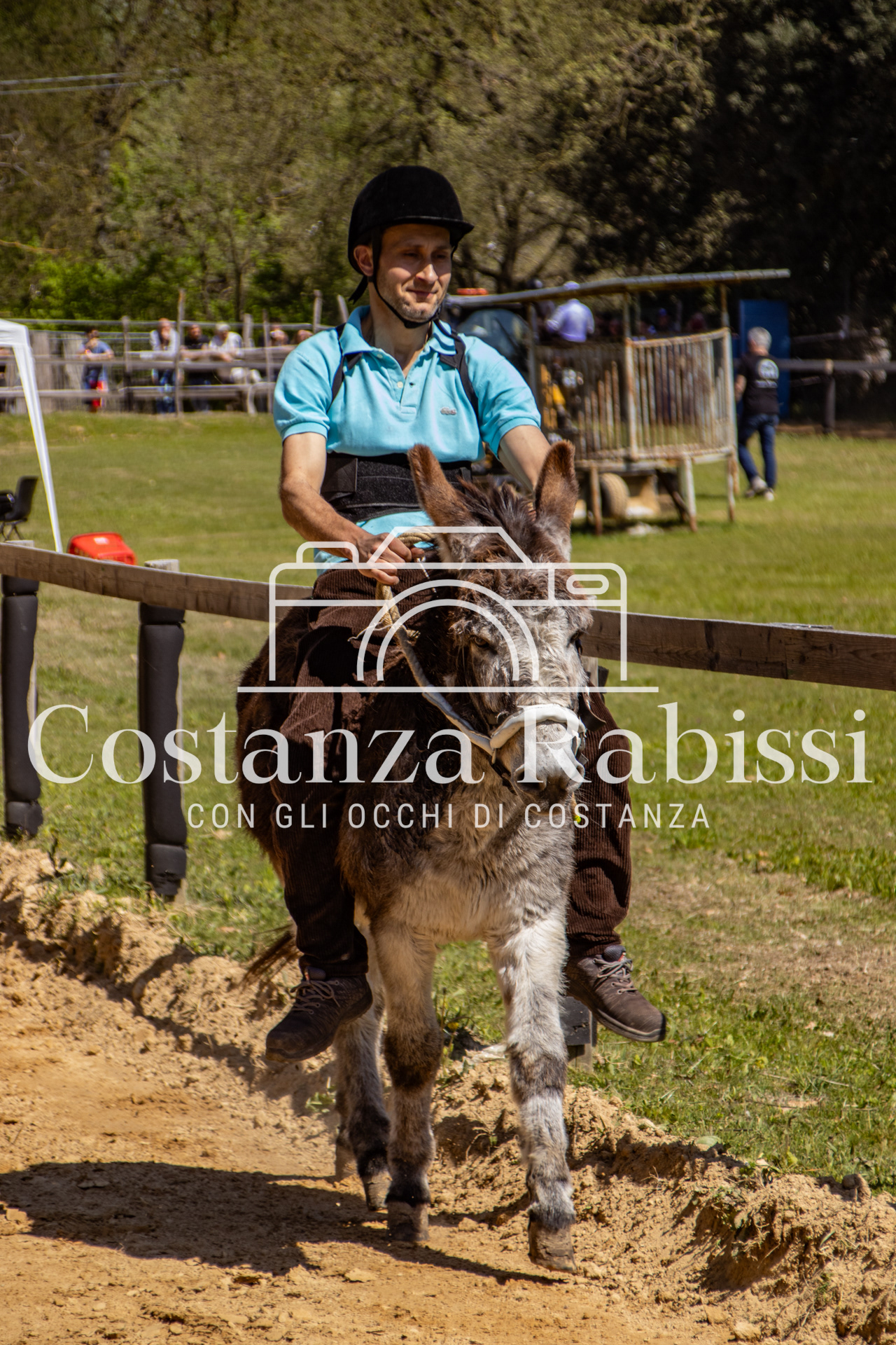 Meeting on the hills - 38