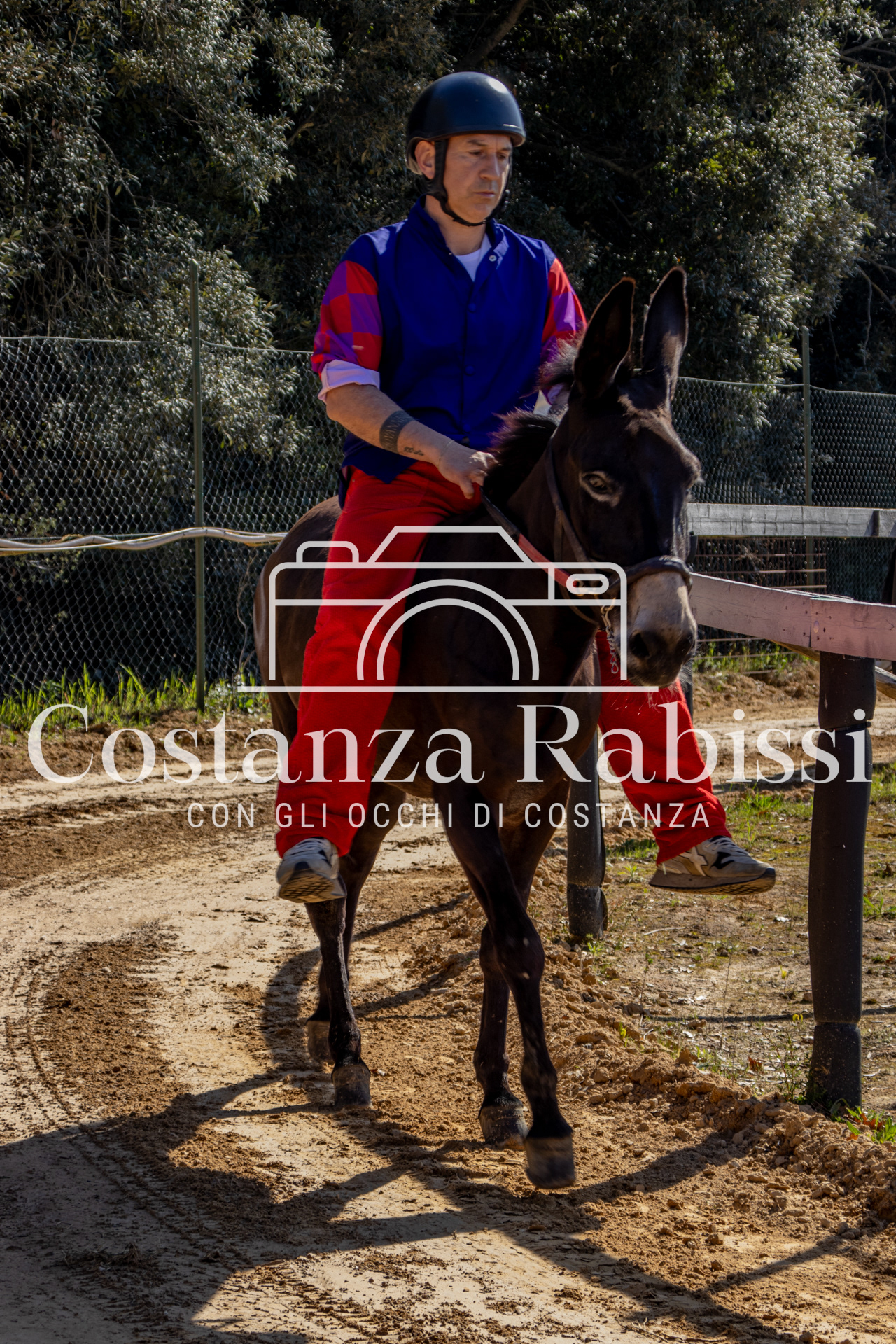 Meeting on the hills - 191