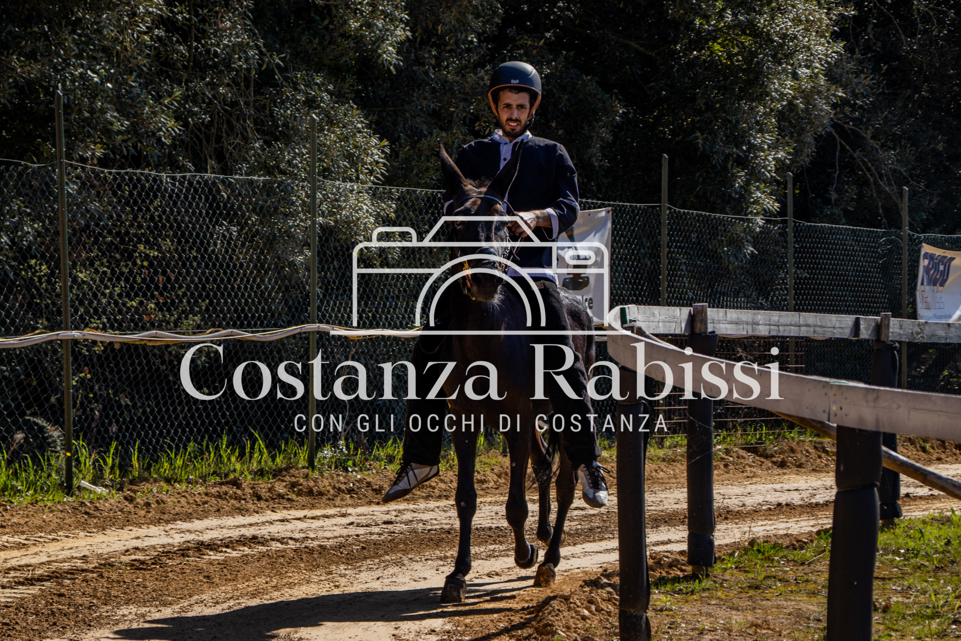 Meeting on the hills - 190