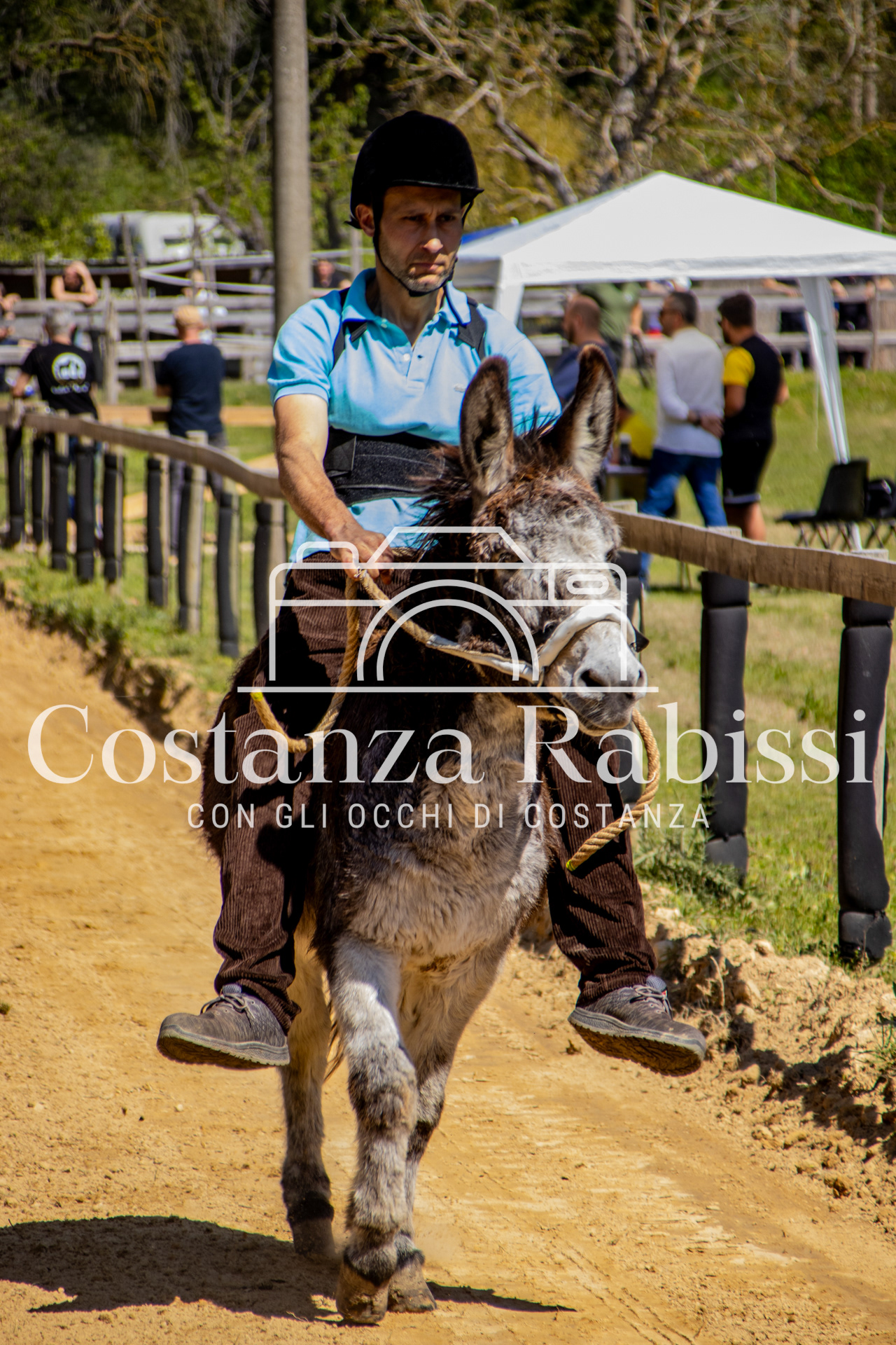 Meeting on the hills - 26