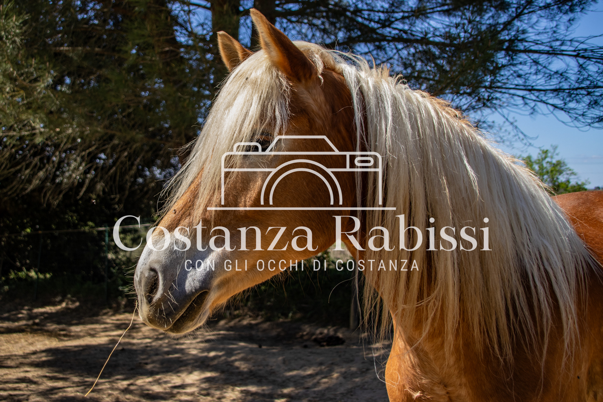 Meeting on the hills - 2