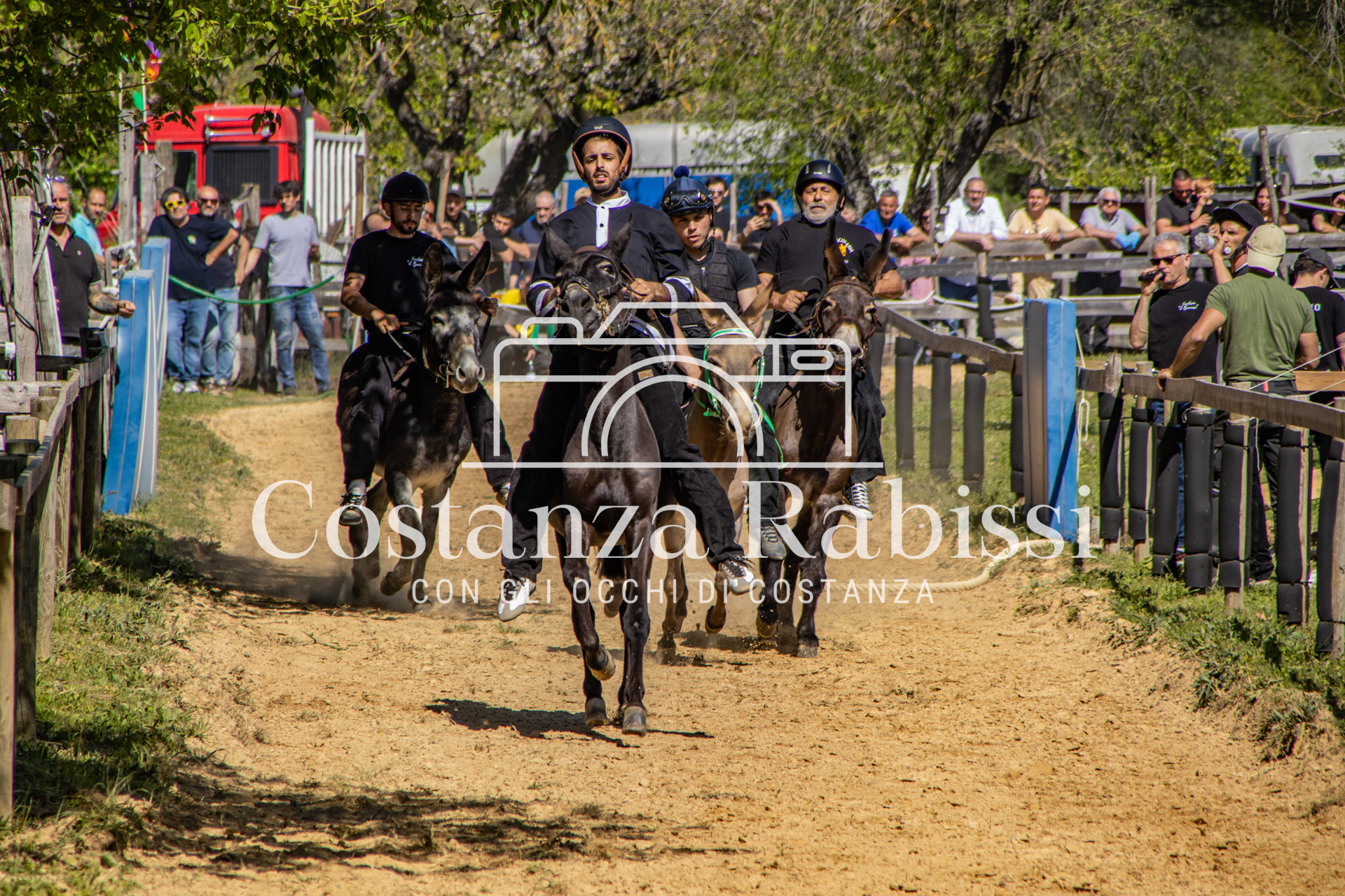 Meeting on the hills - 125