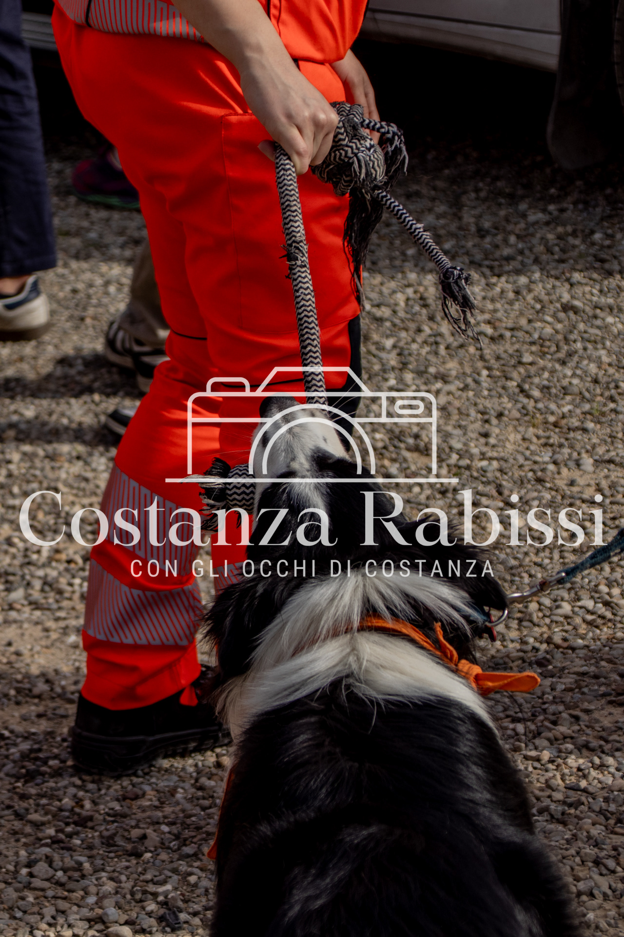 Mettiamoci in moto - 82