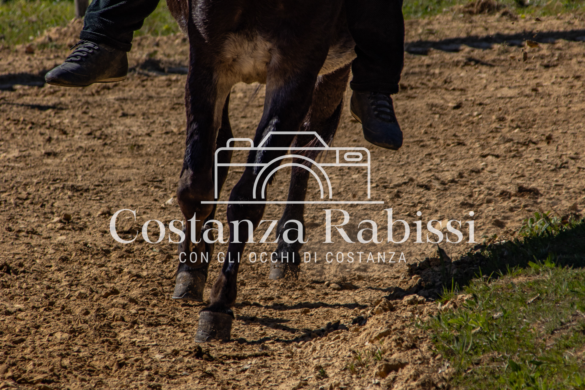 Meeting on the hills - 152