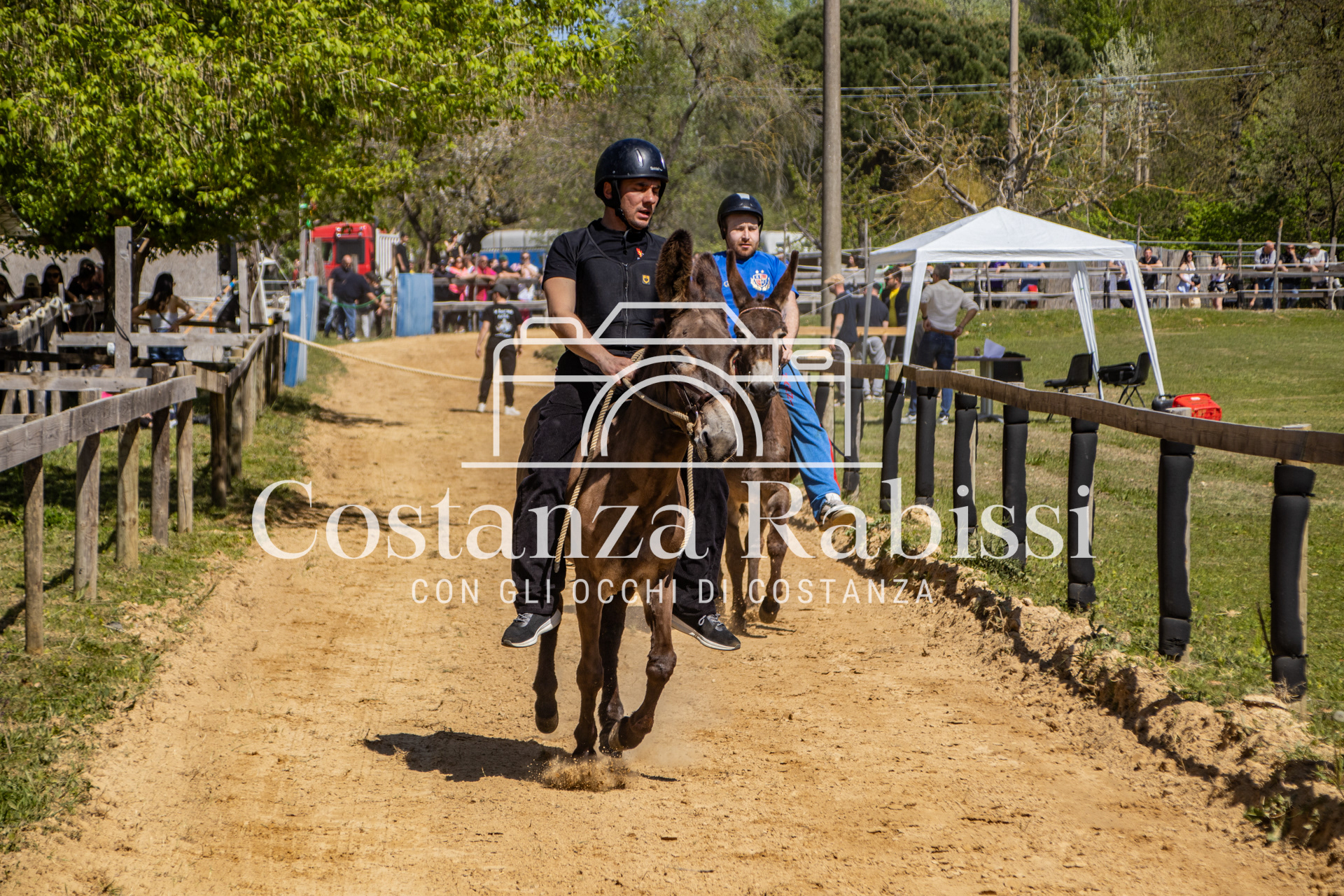 Meeting on the hills - 43