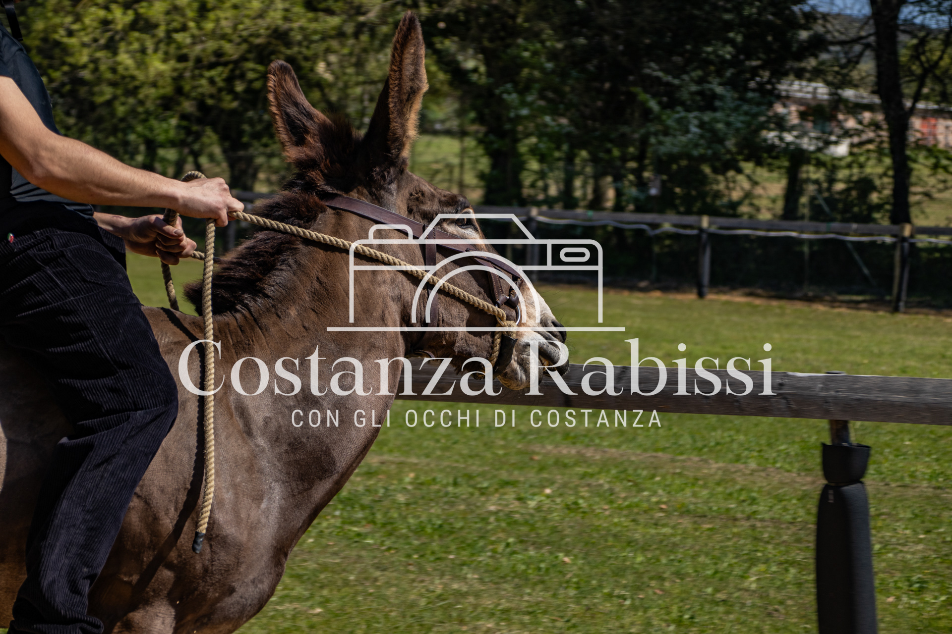 Meeting on the hills - 45