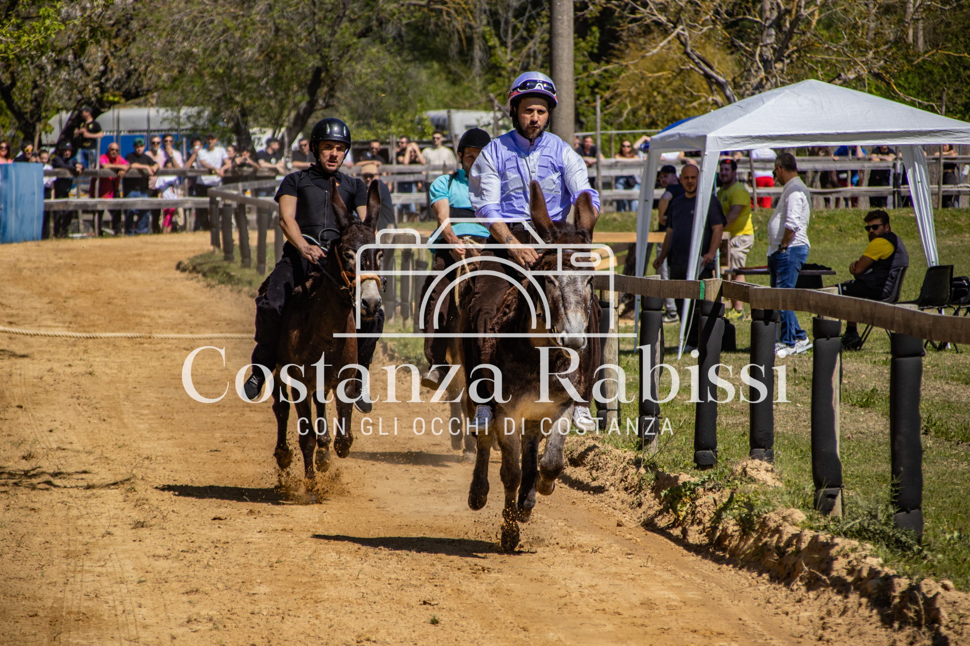 Meeting on the hills - 31