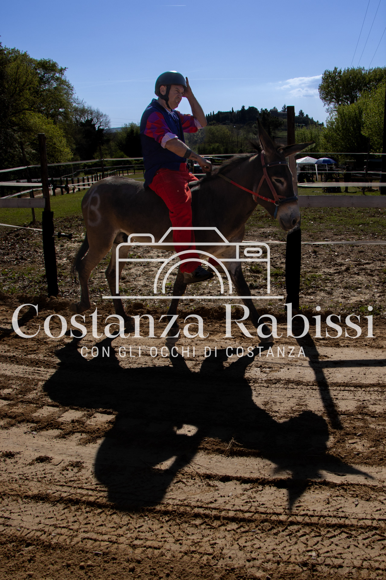 Meeting on the hills - 209