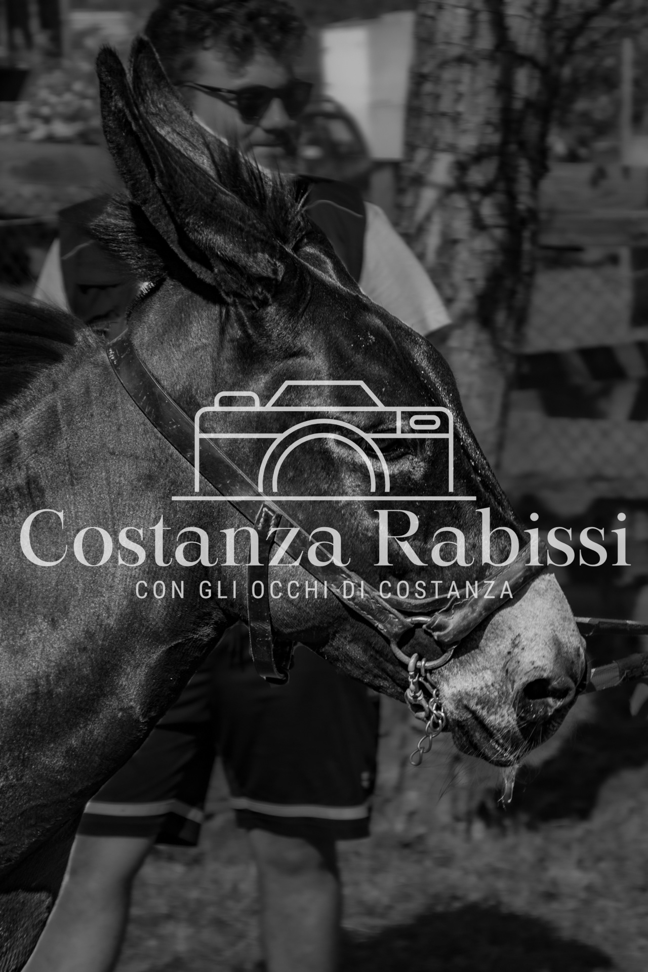 Meeting on the hills - 198