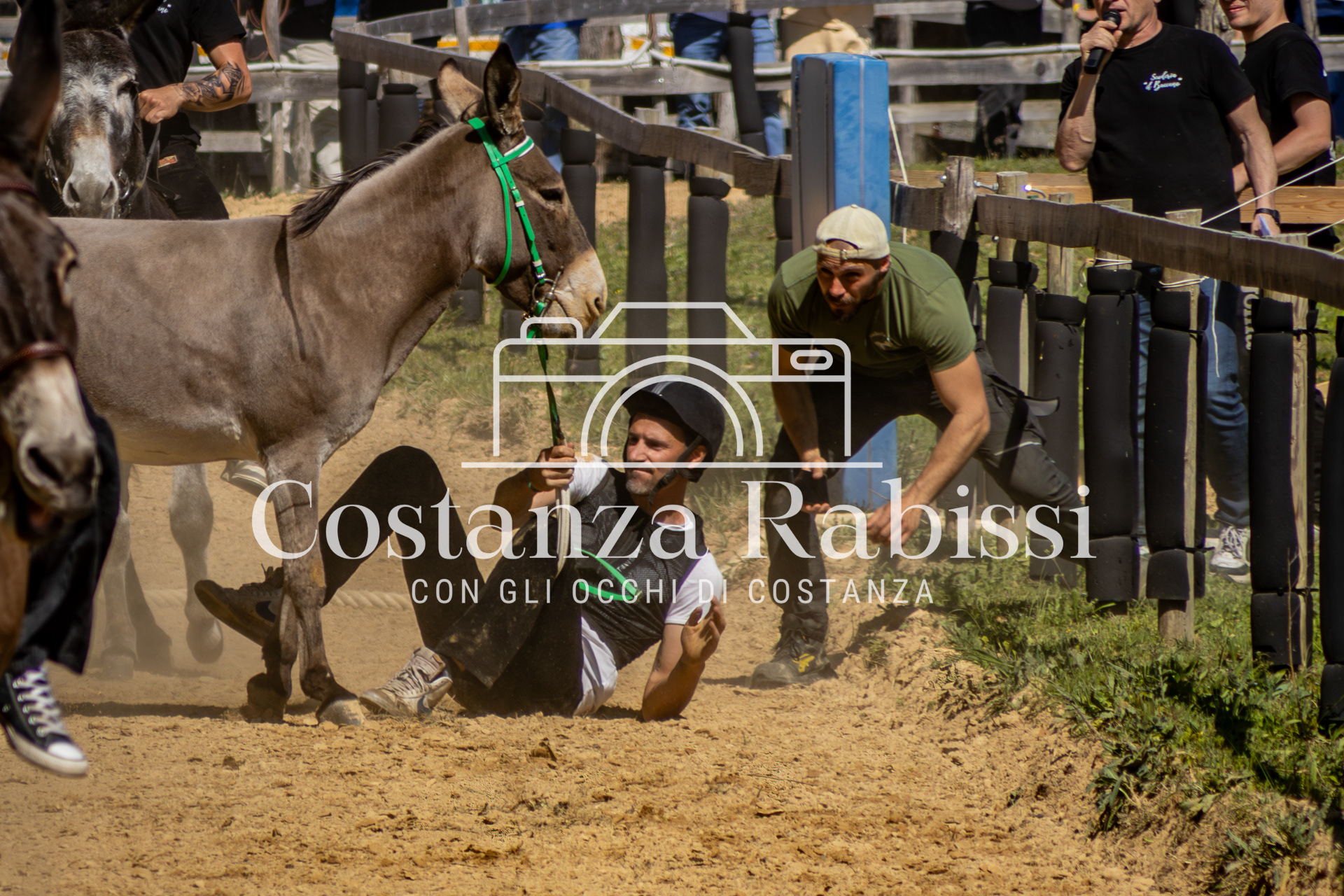 Meeting on the hills - 107