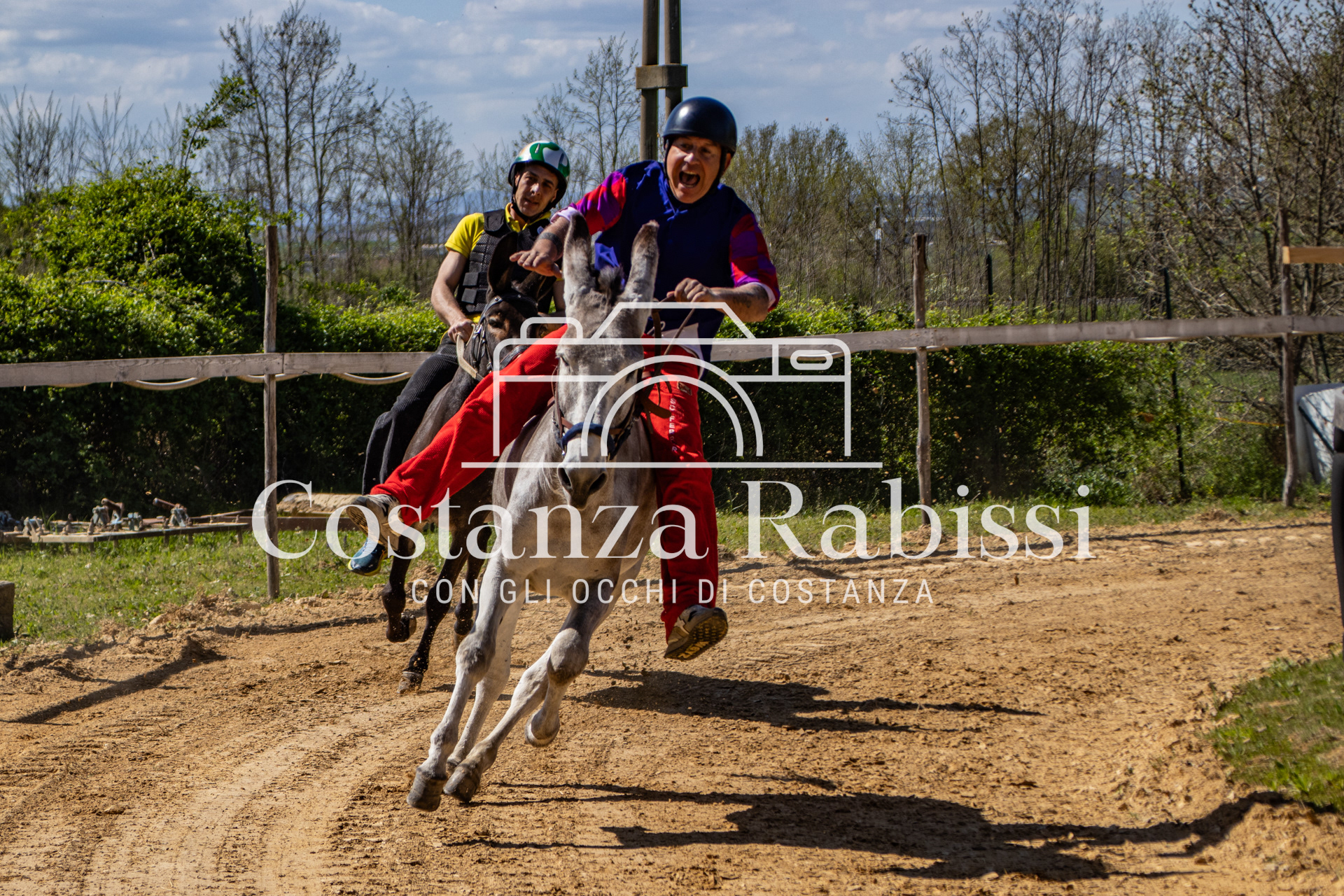 Meeting on the hills - 65