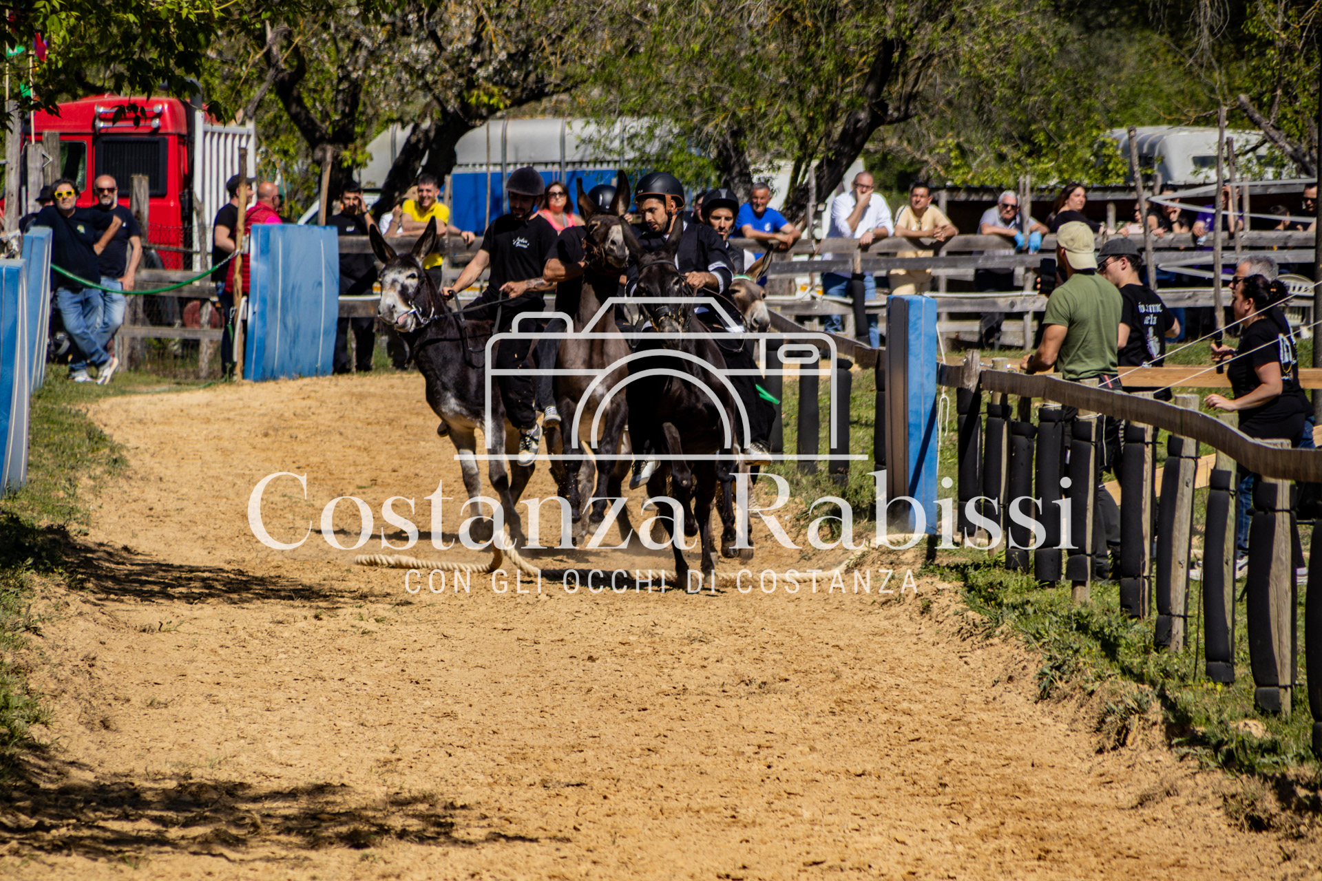 Meeting on the hills - 104