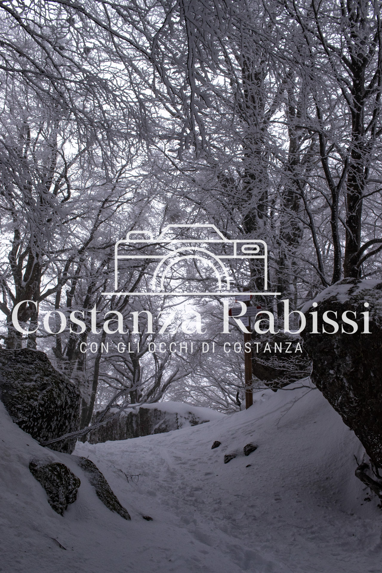 AMIATA INVERNO 26 - 23