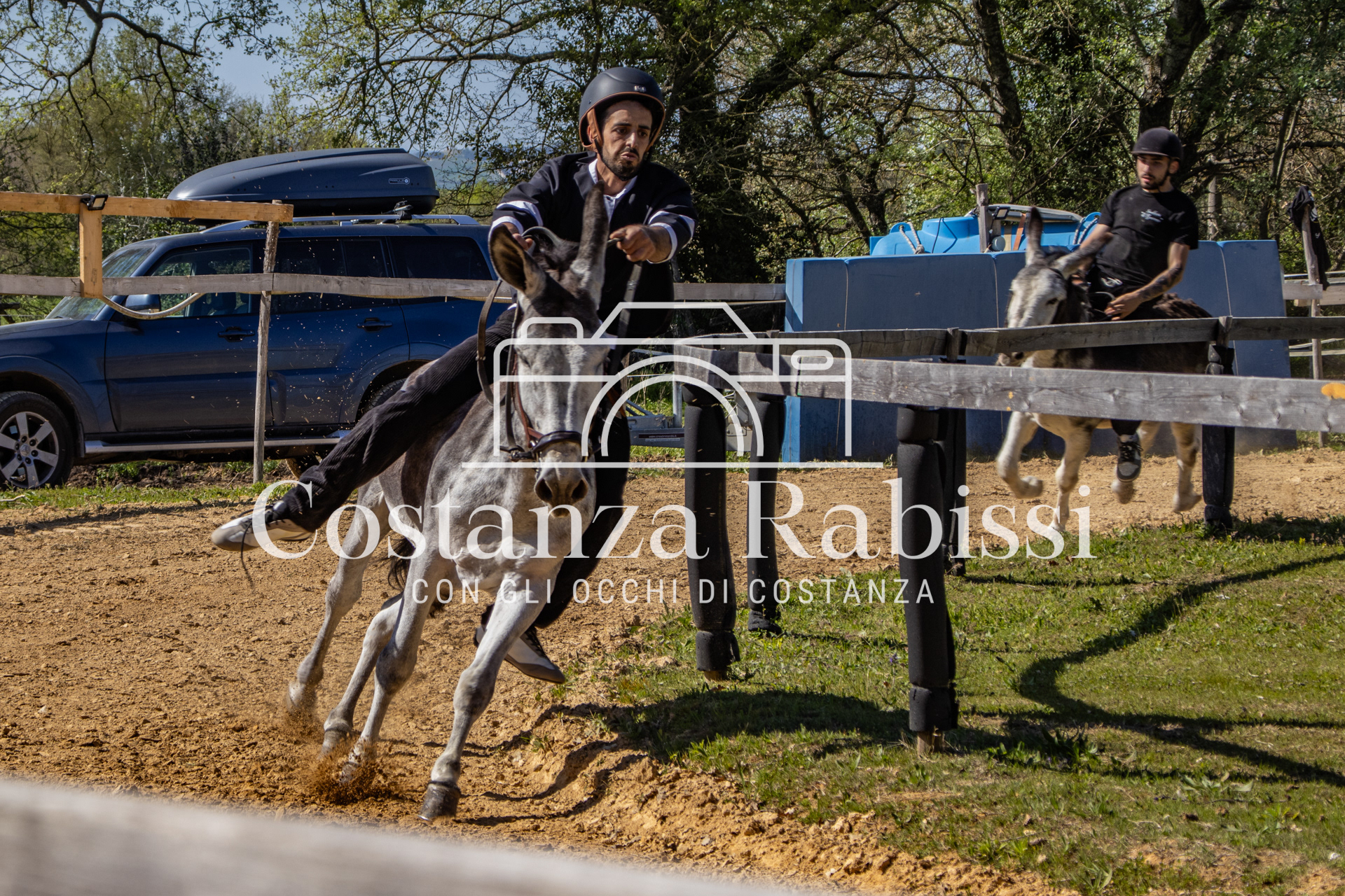 Meeting on the hills - 161