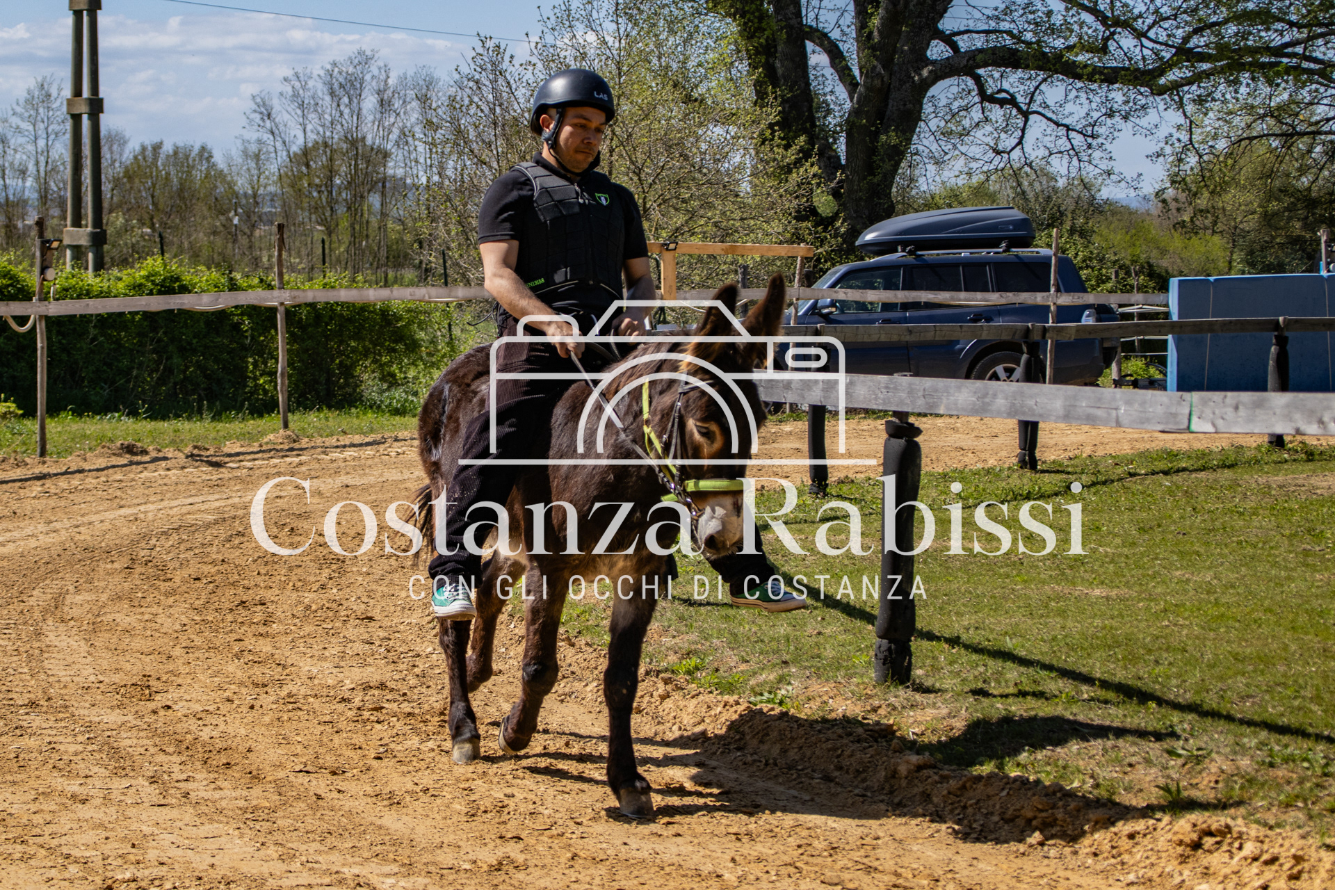 Meeting on the hills - 63