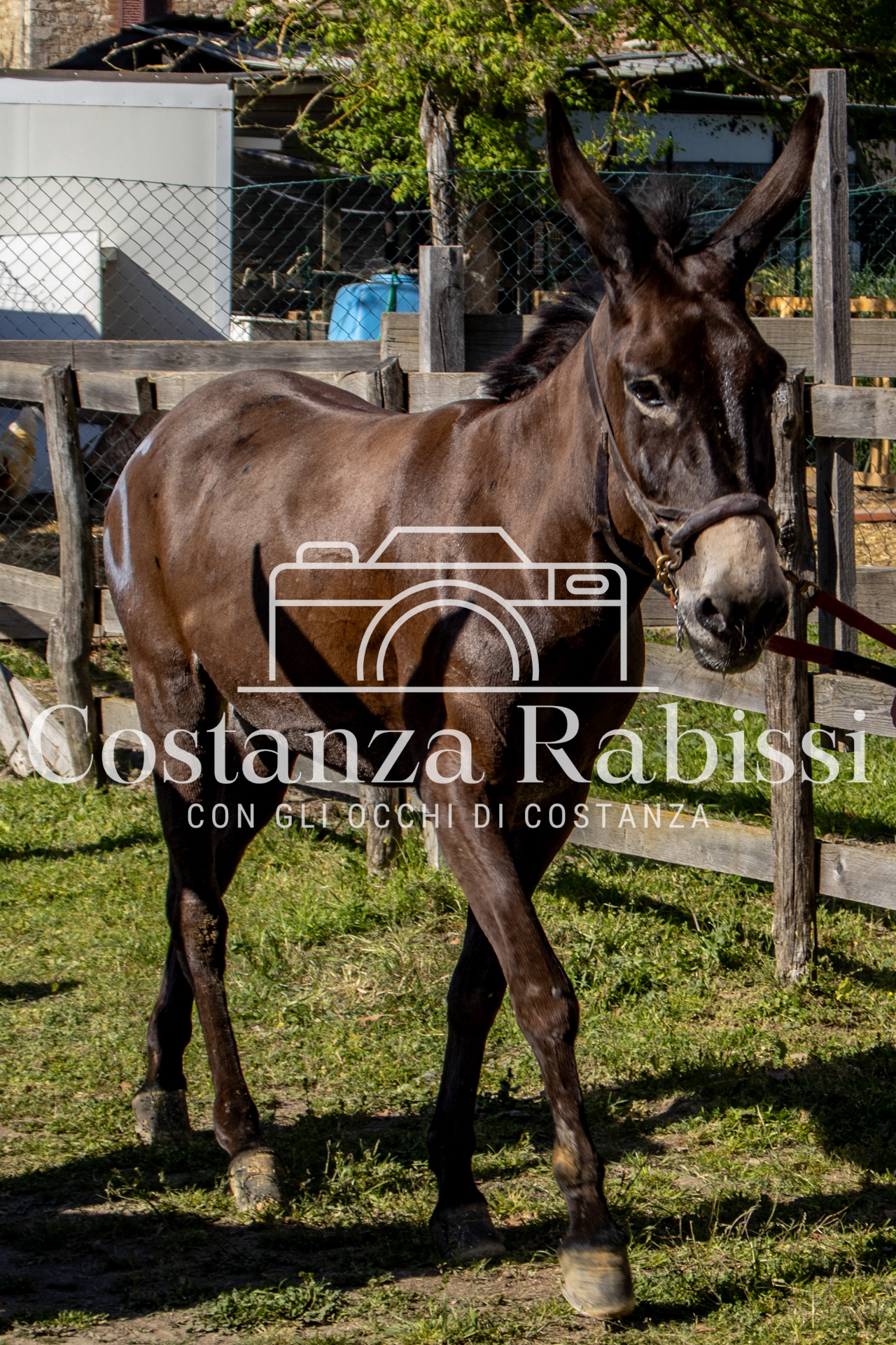 Meeting on the hills - 197