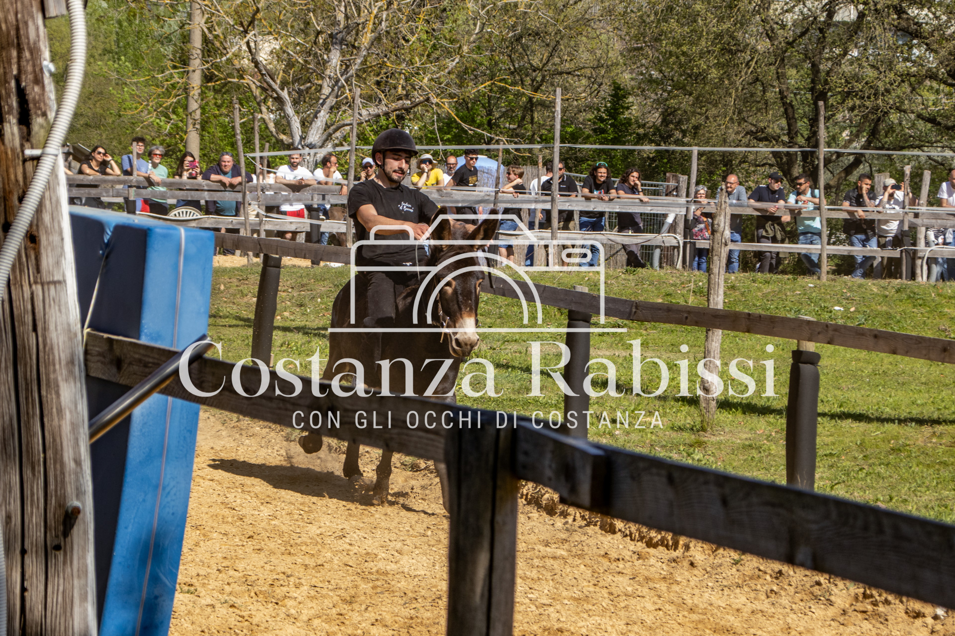 Meeting on the hills - 178