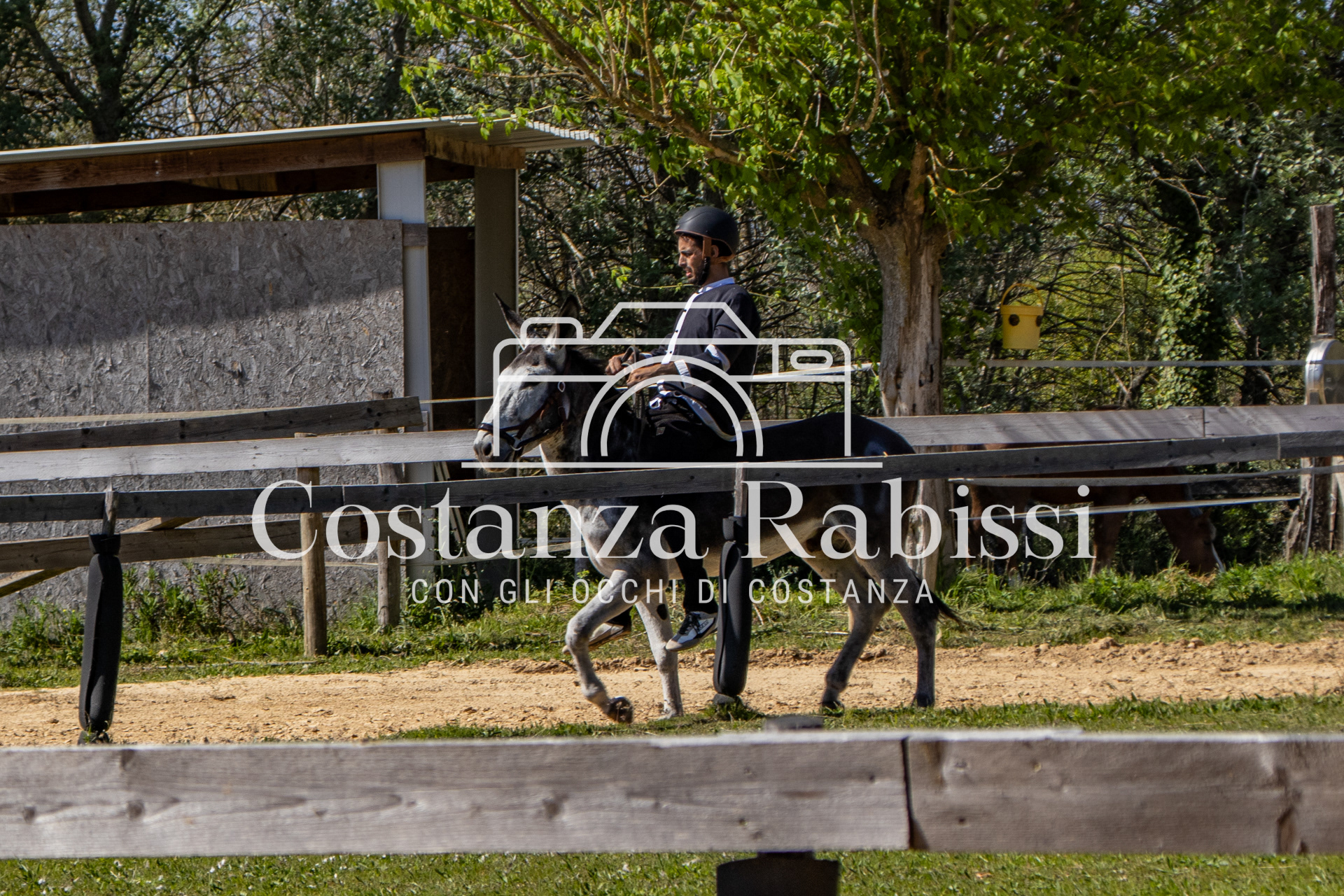 Meeting on the hills - 148