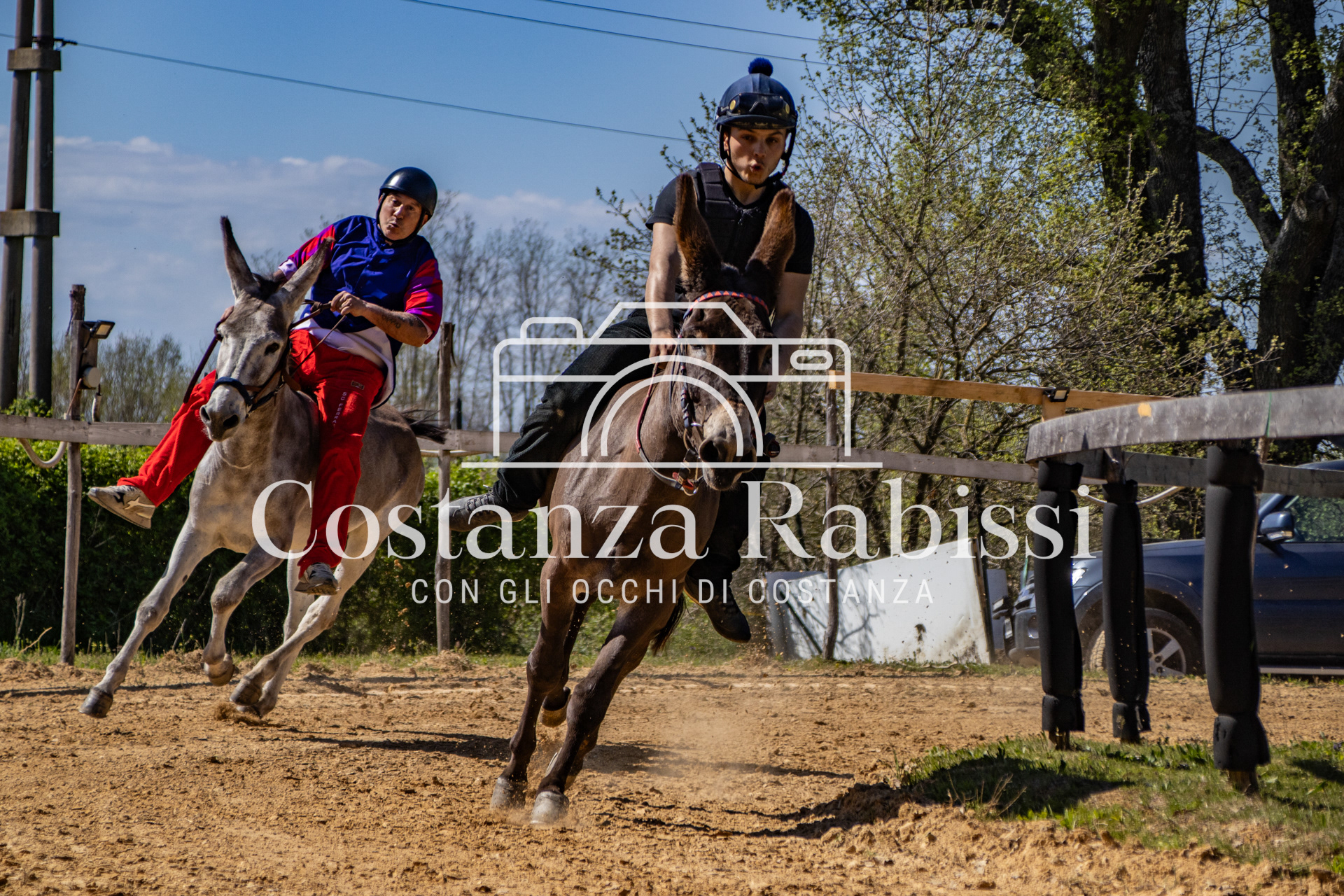 Meeting on the hills - 69