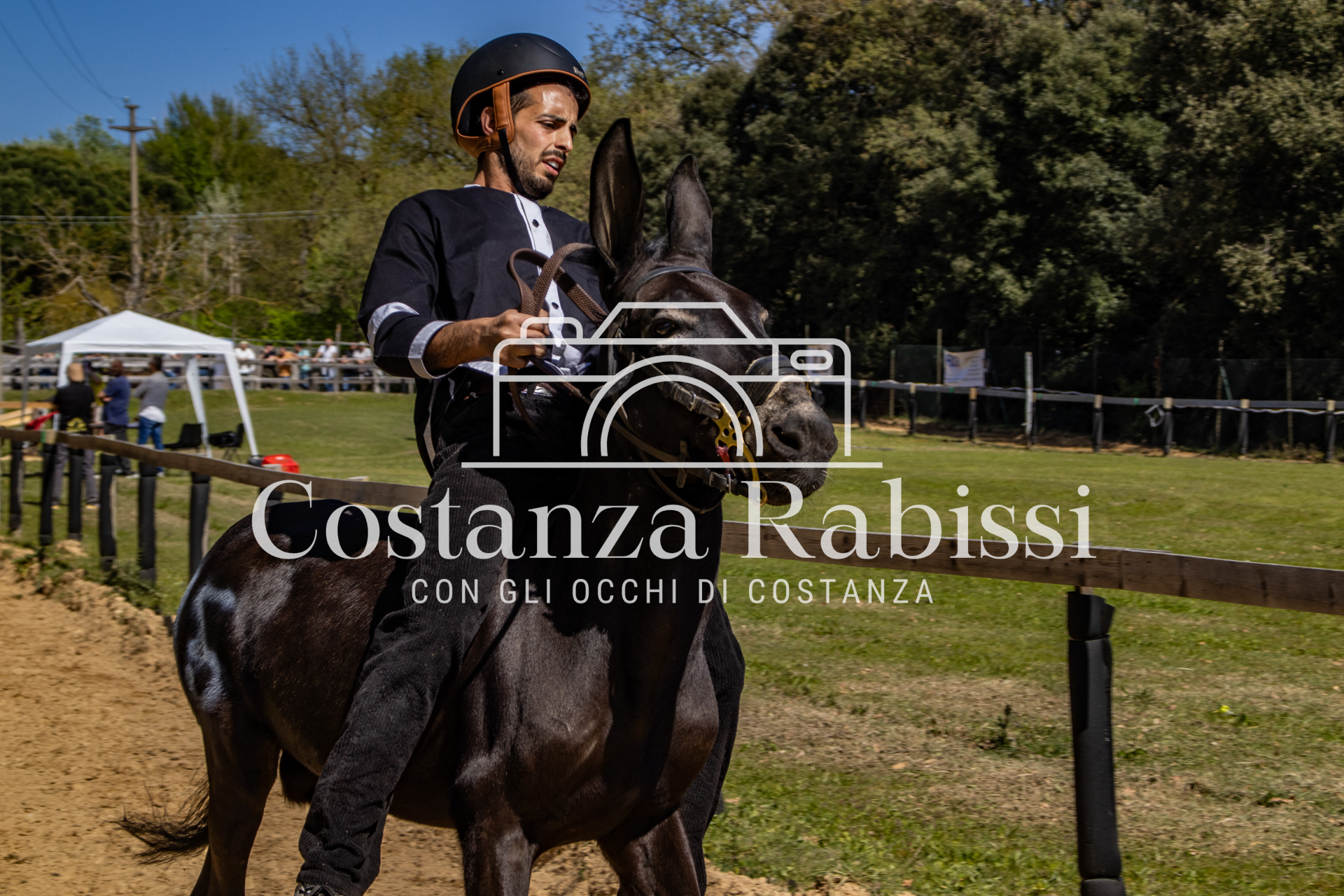 Meeting on the hills - 109