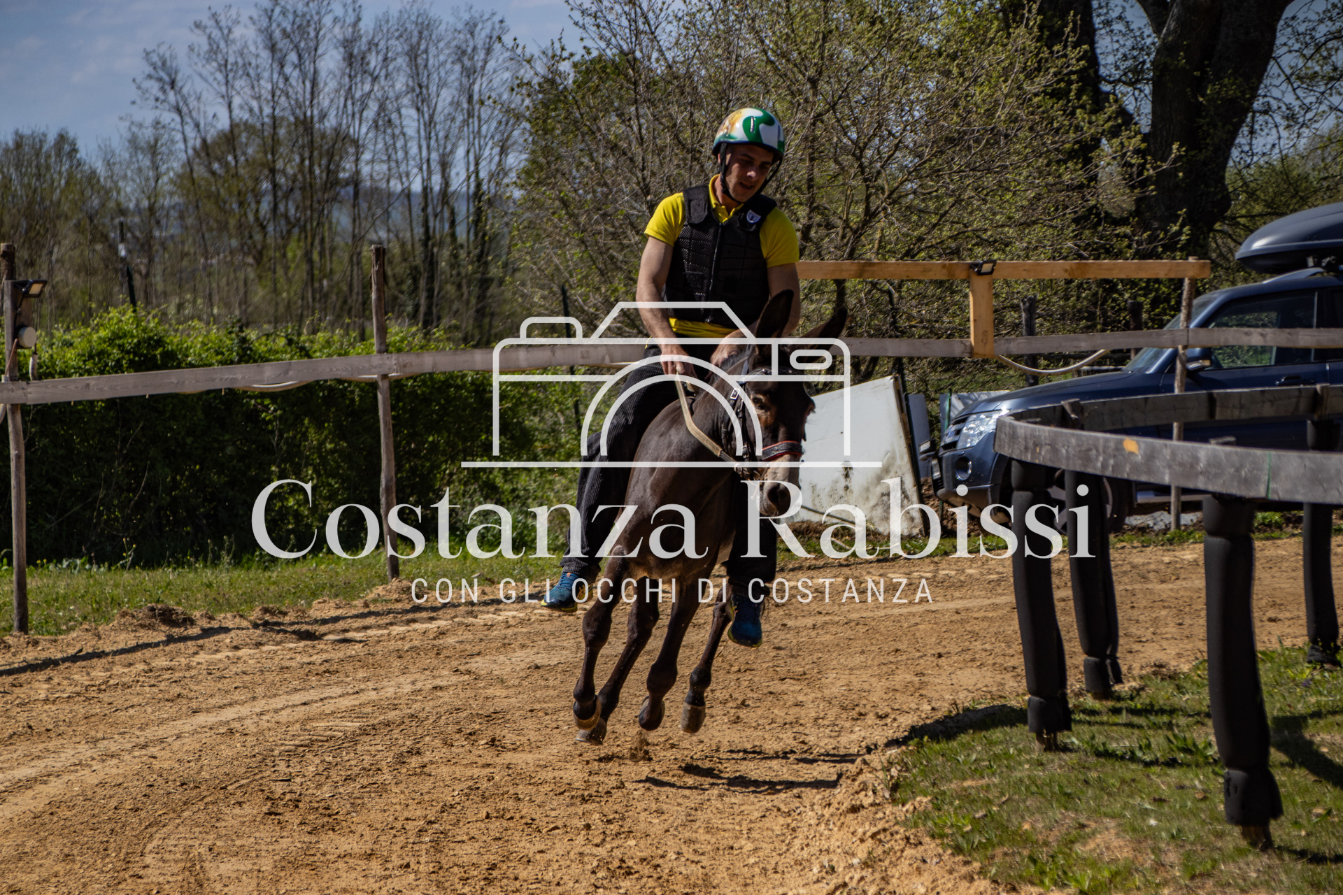 Meeting on the hills - 54