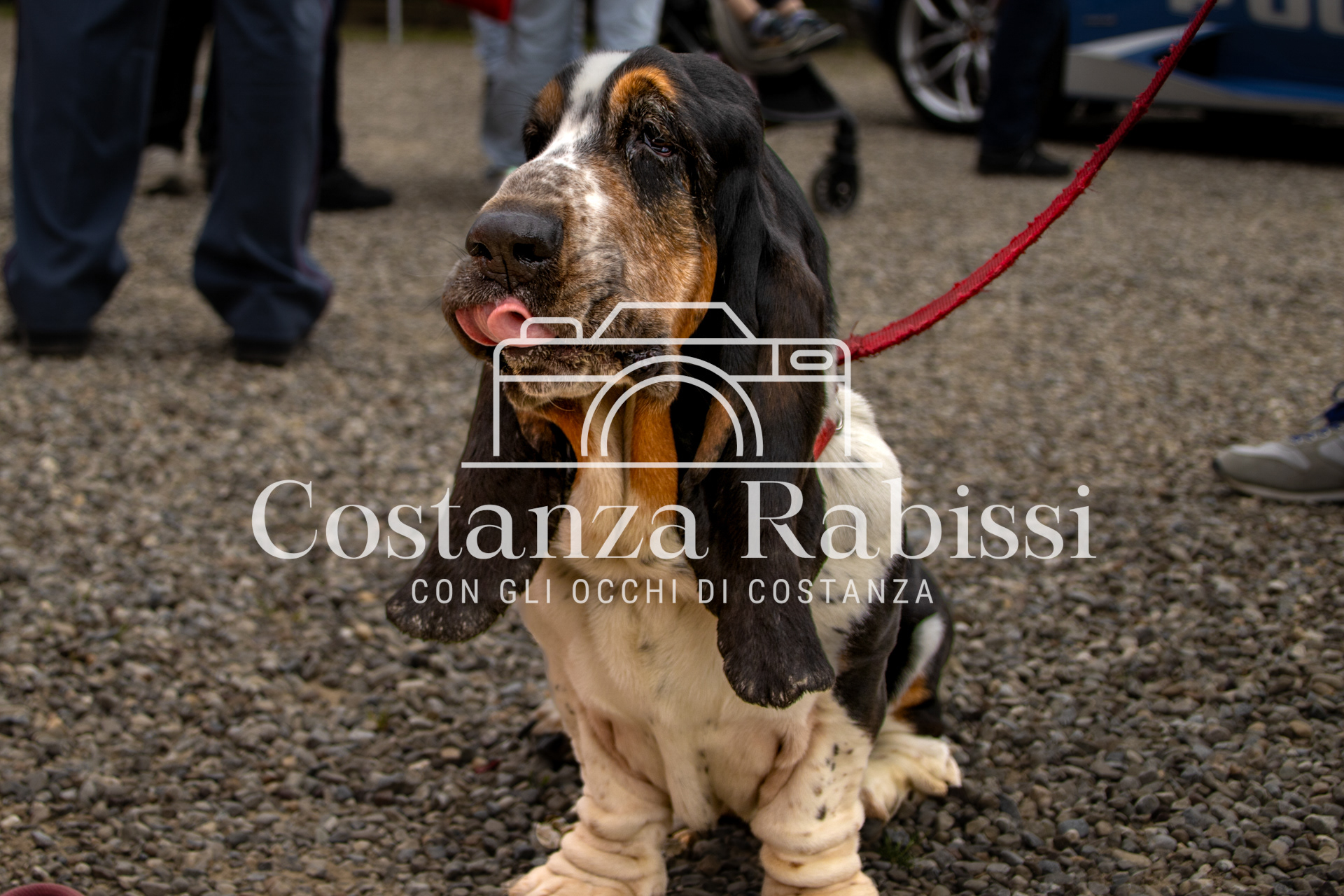 Mettiamoci in moto - 110