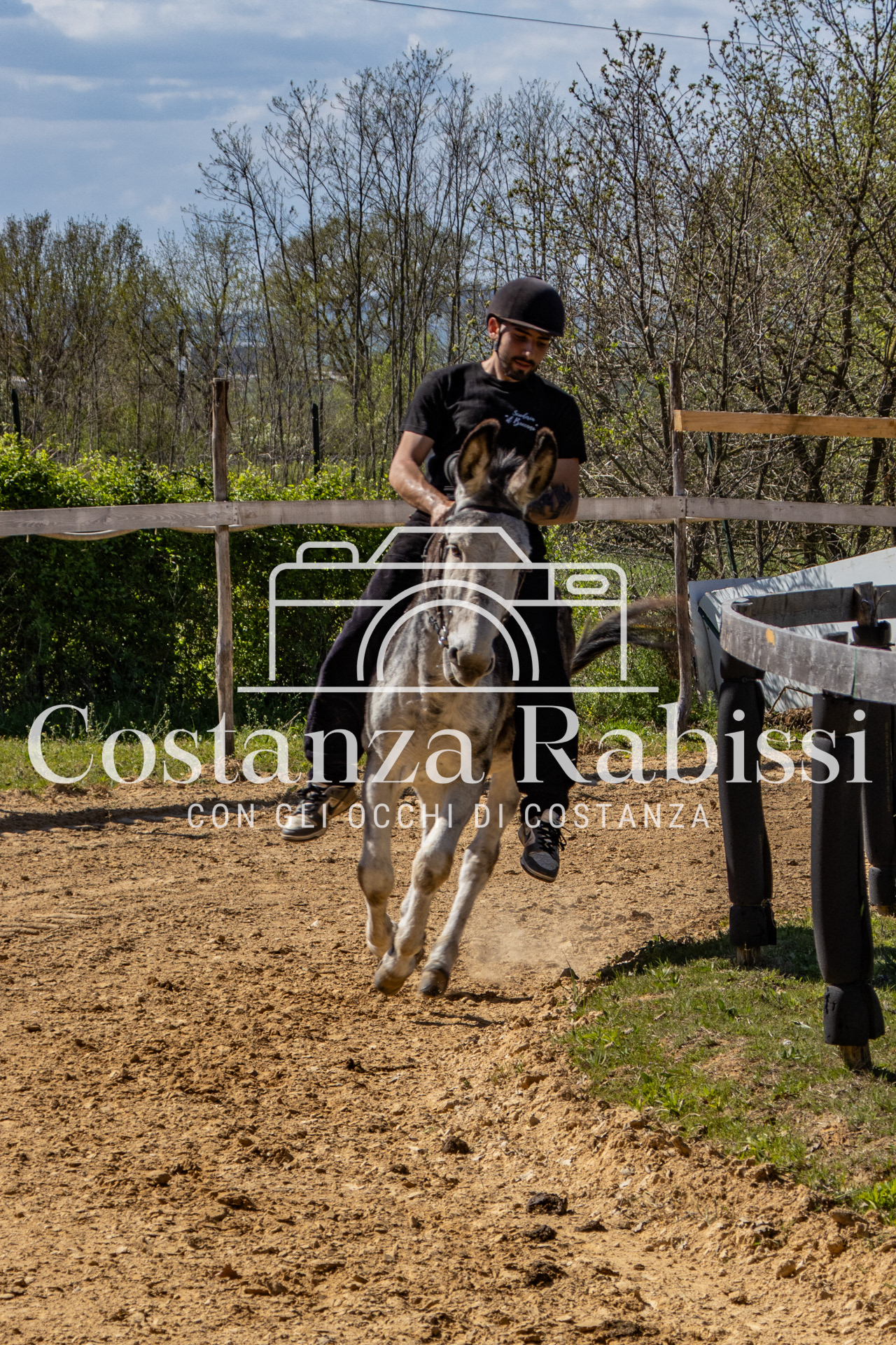 Meeting on the hills - 144