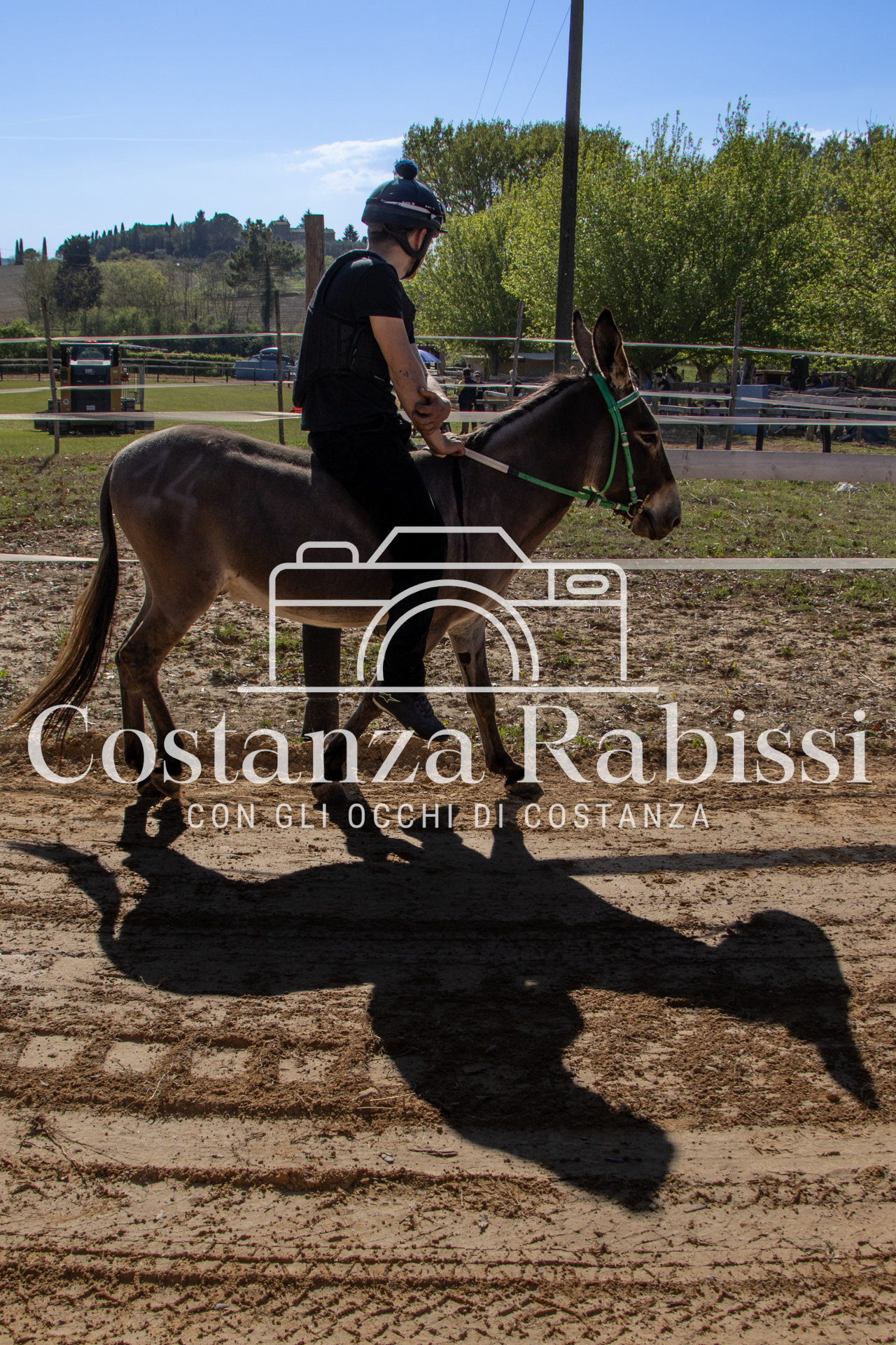 Meeting on the hills - 208