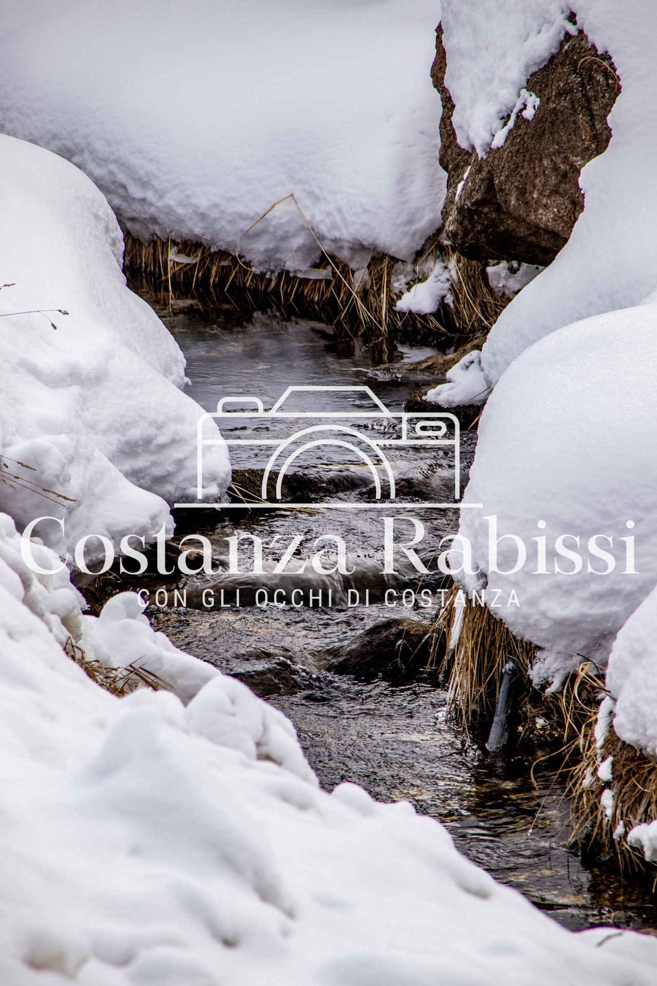 Passo del Tonale - 59