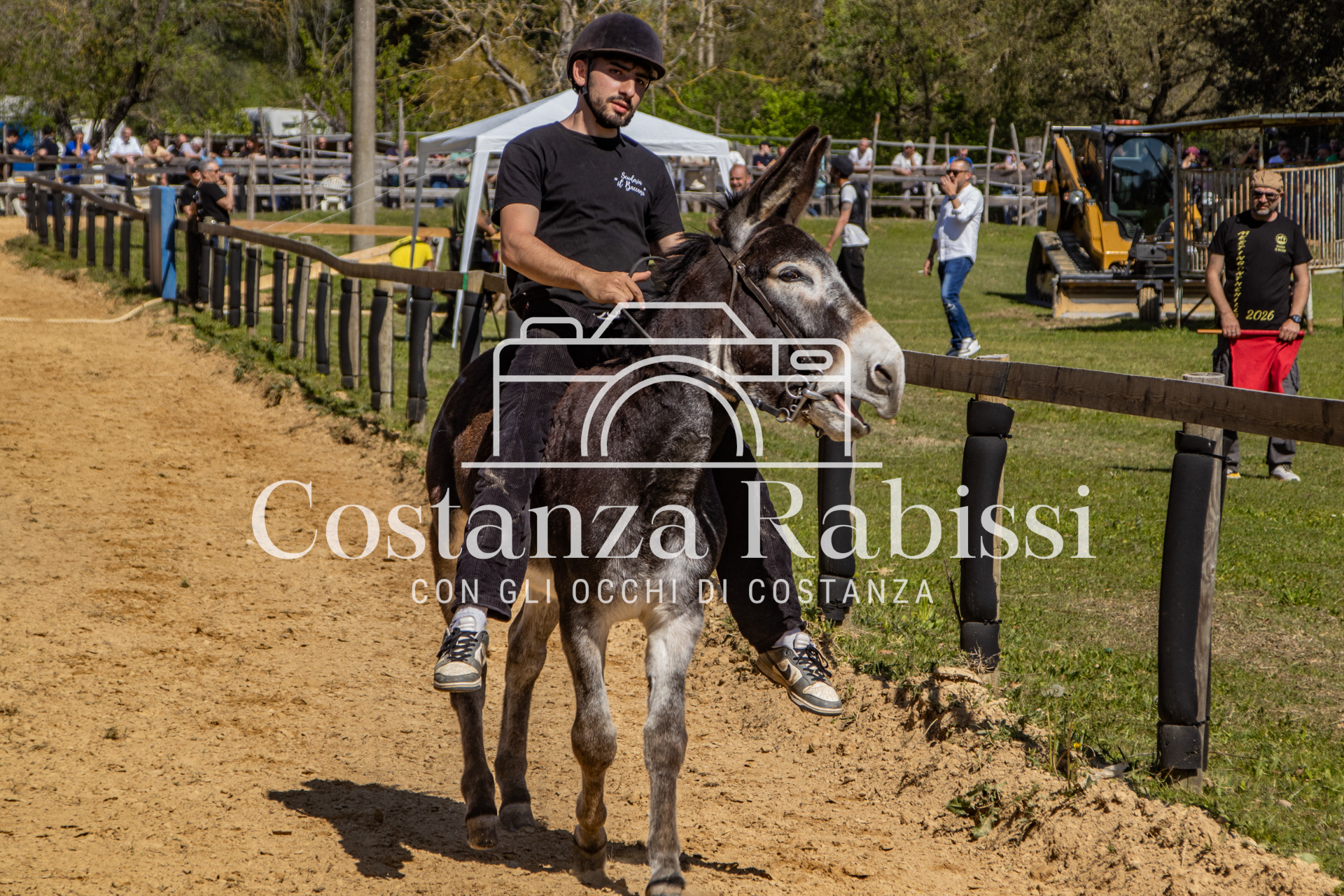 Meeting on the hills - 121