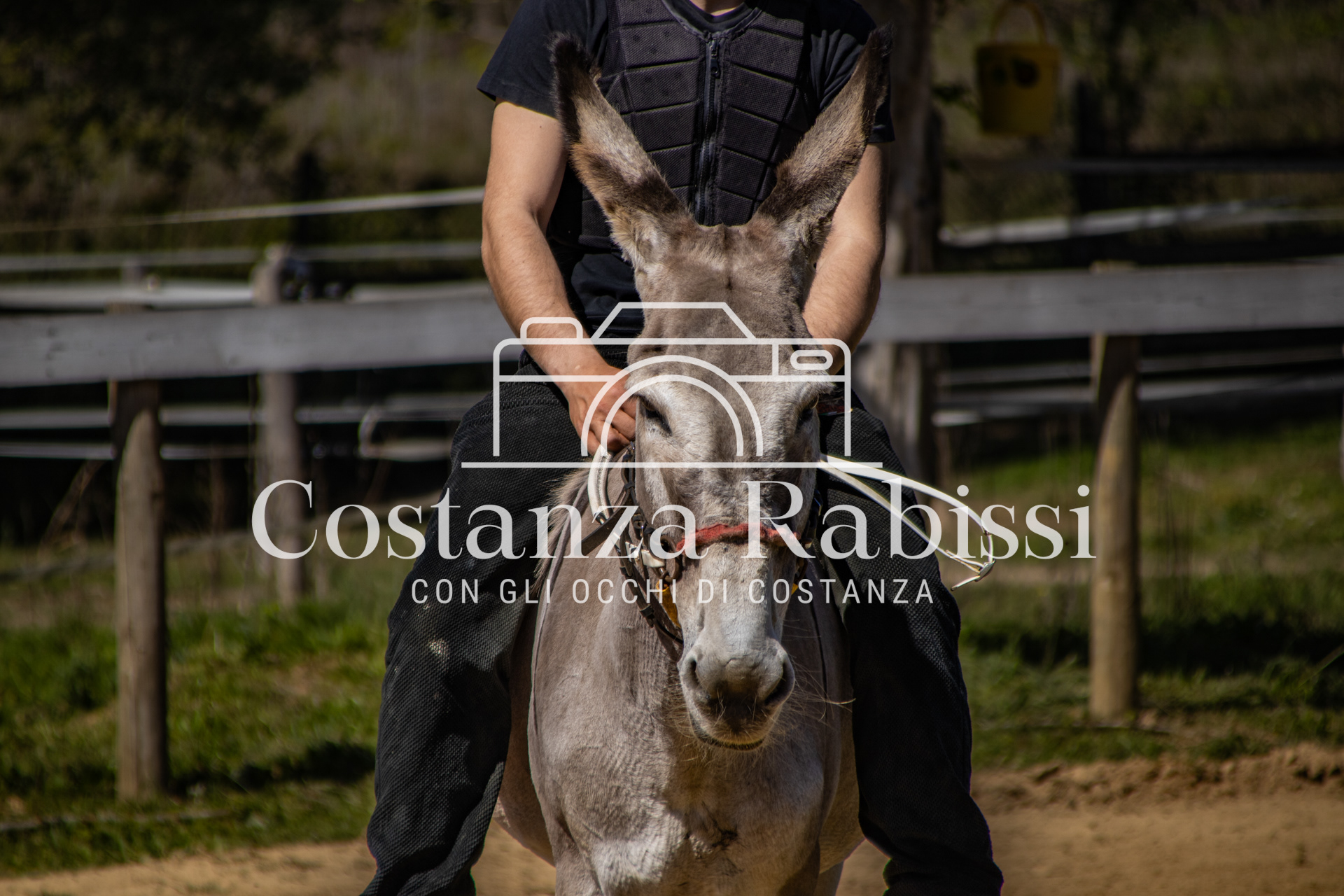 Meeting on the hills - 74