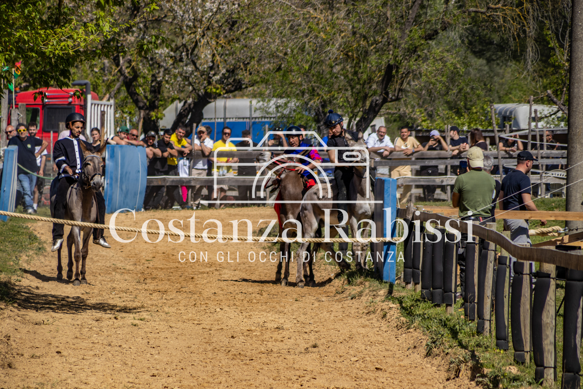 Meeting on the hills - 83