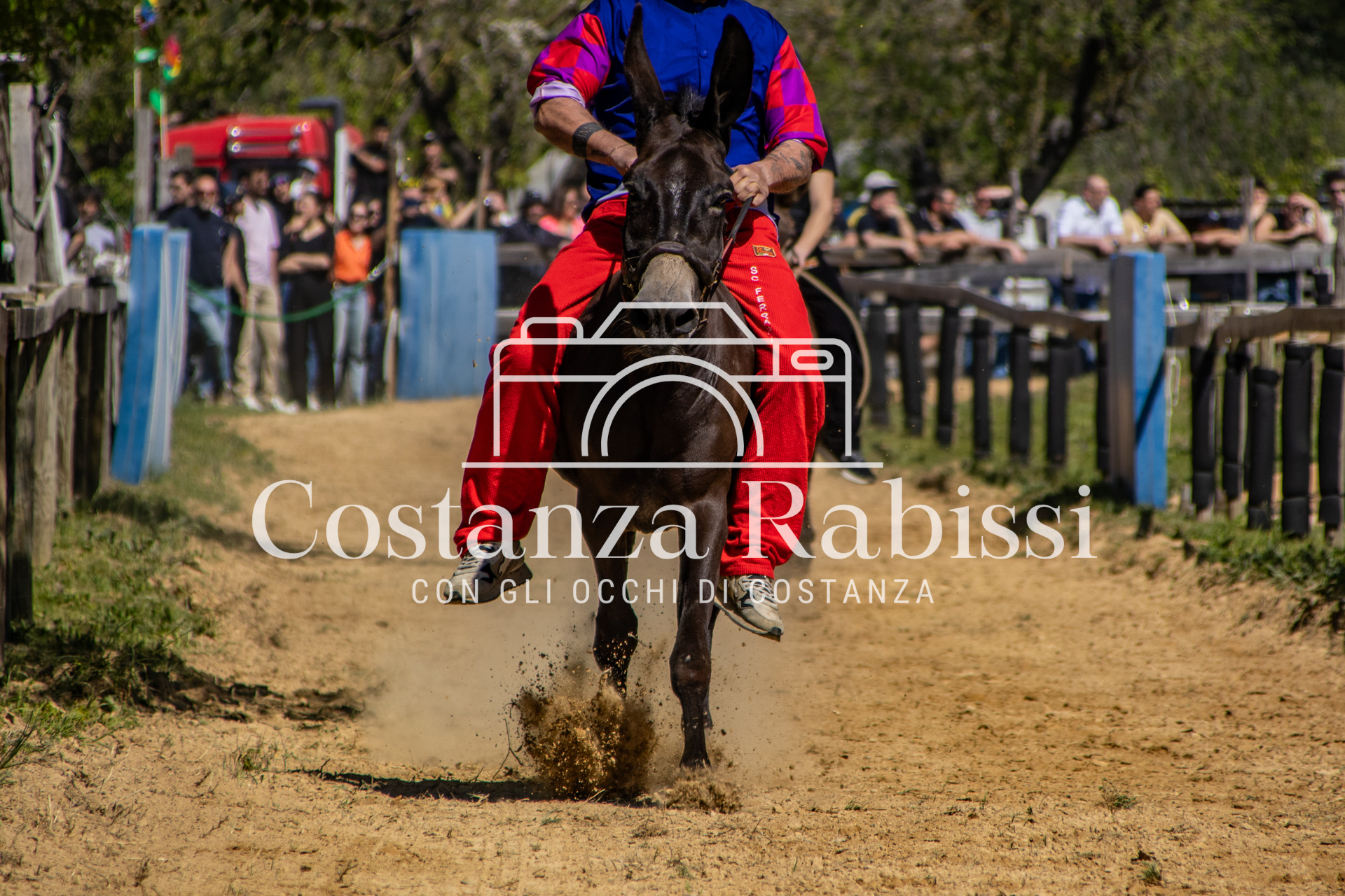 Meeting on the hills - 50