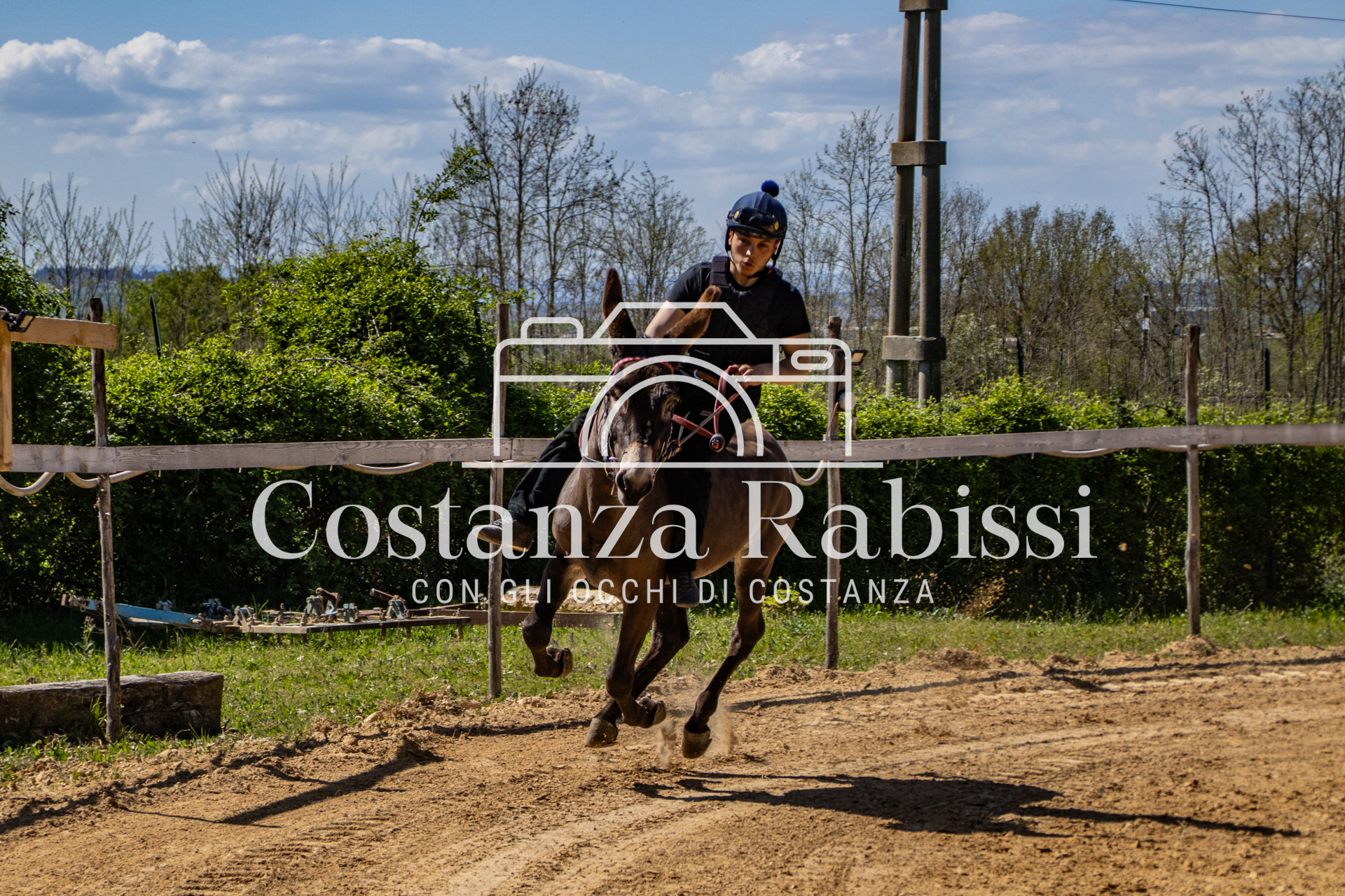 Meeting on the hills - 64