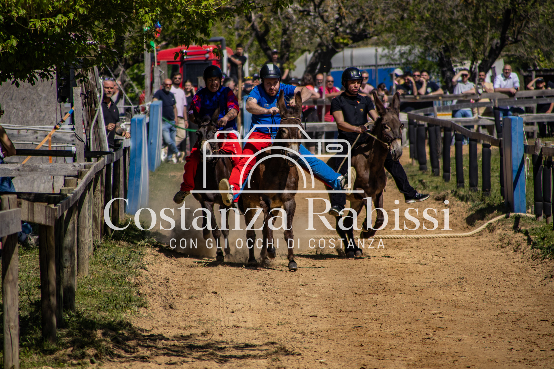 Meeting on the hills - 47