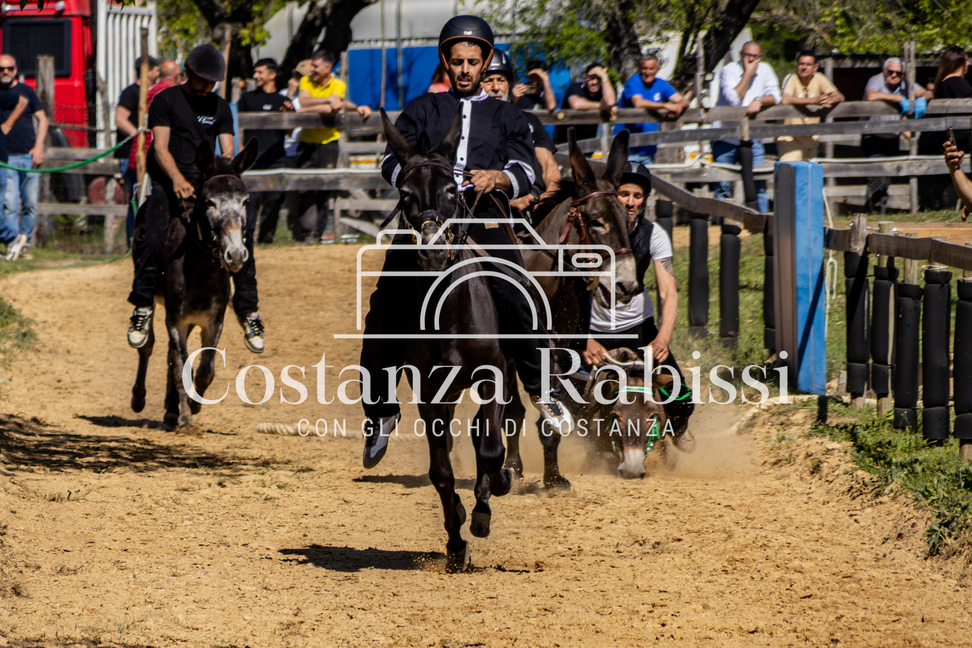 Meeting on the hills - 106