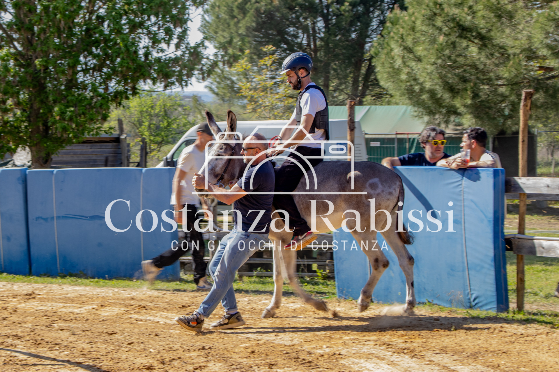 Meeting on the hills - 206