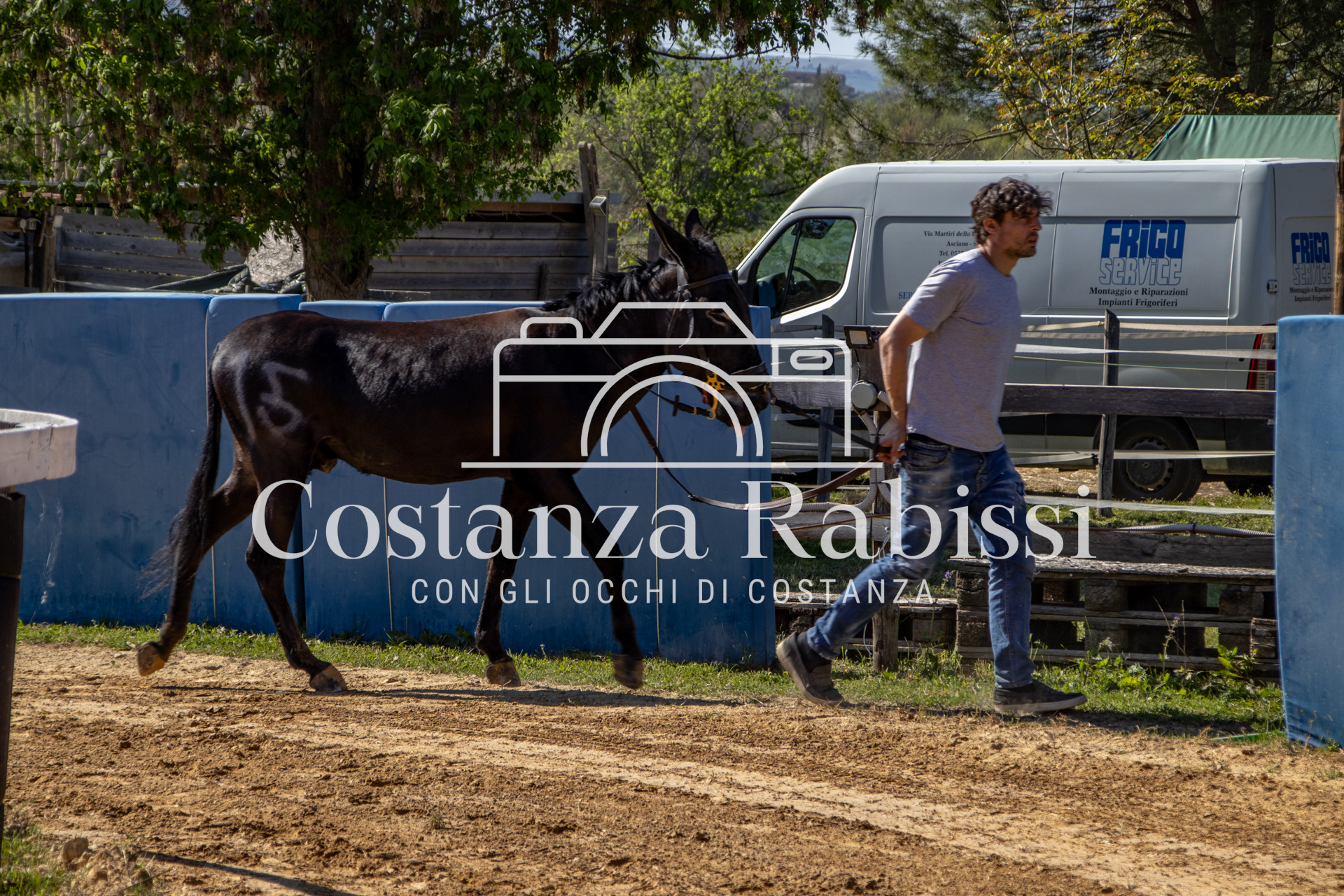 Meeting on the hills - 195