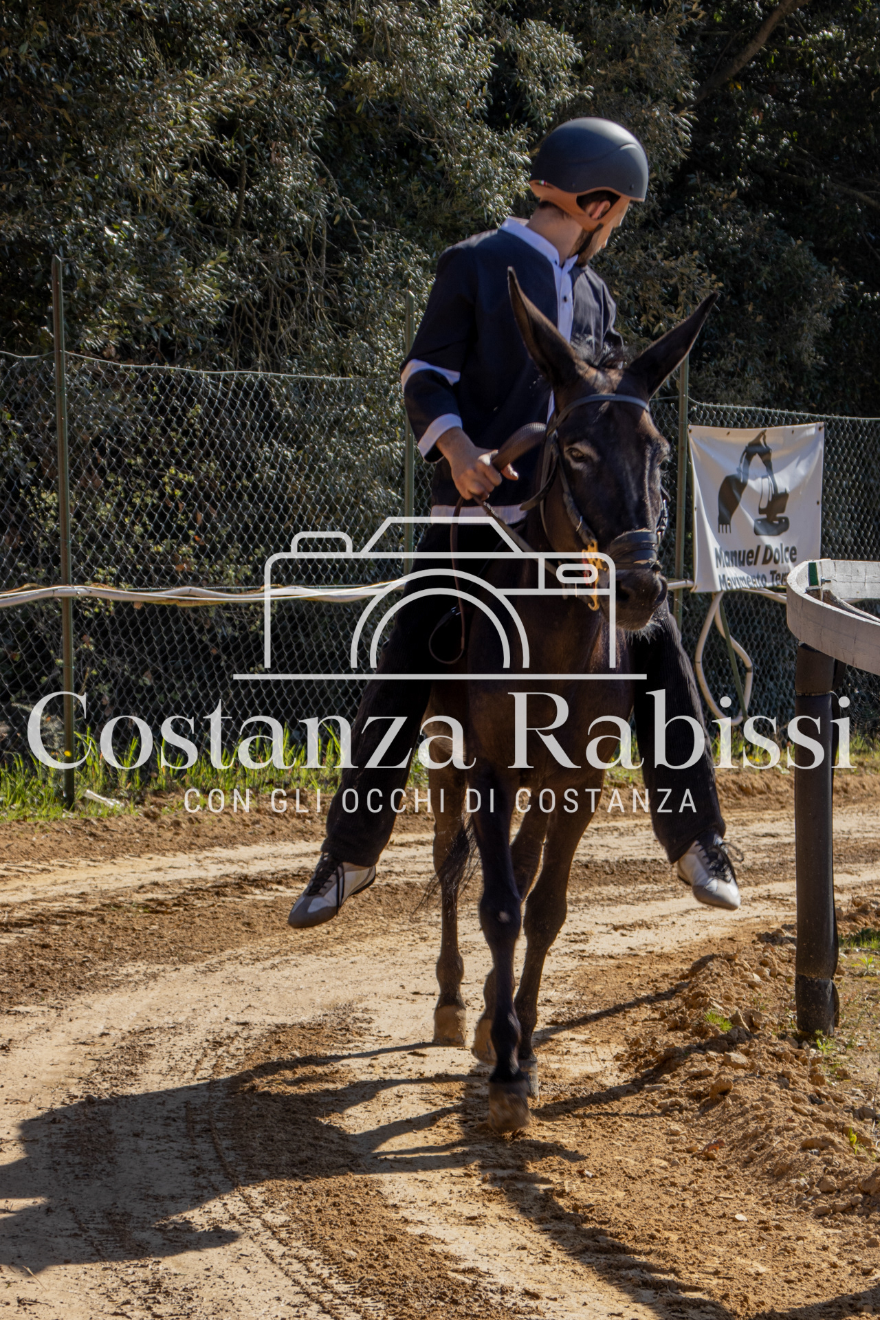 Meeting on the hills - 192