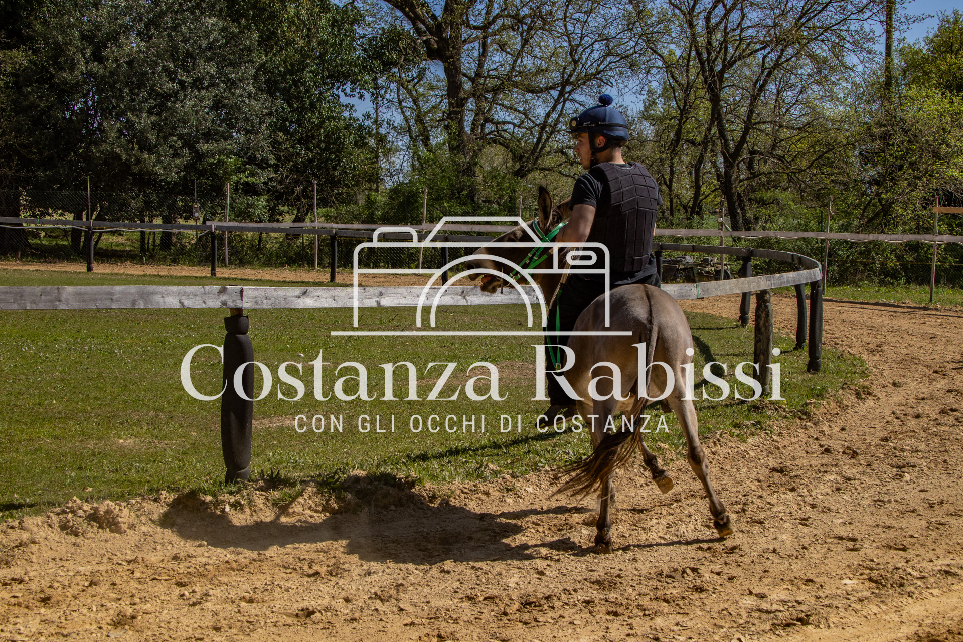 Meeting on the hills - 126