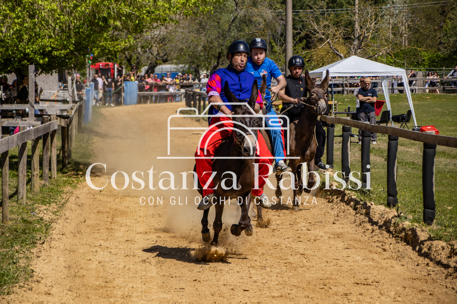 Meeting on the hills - 48