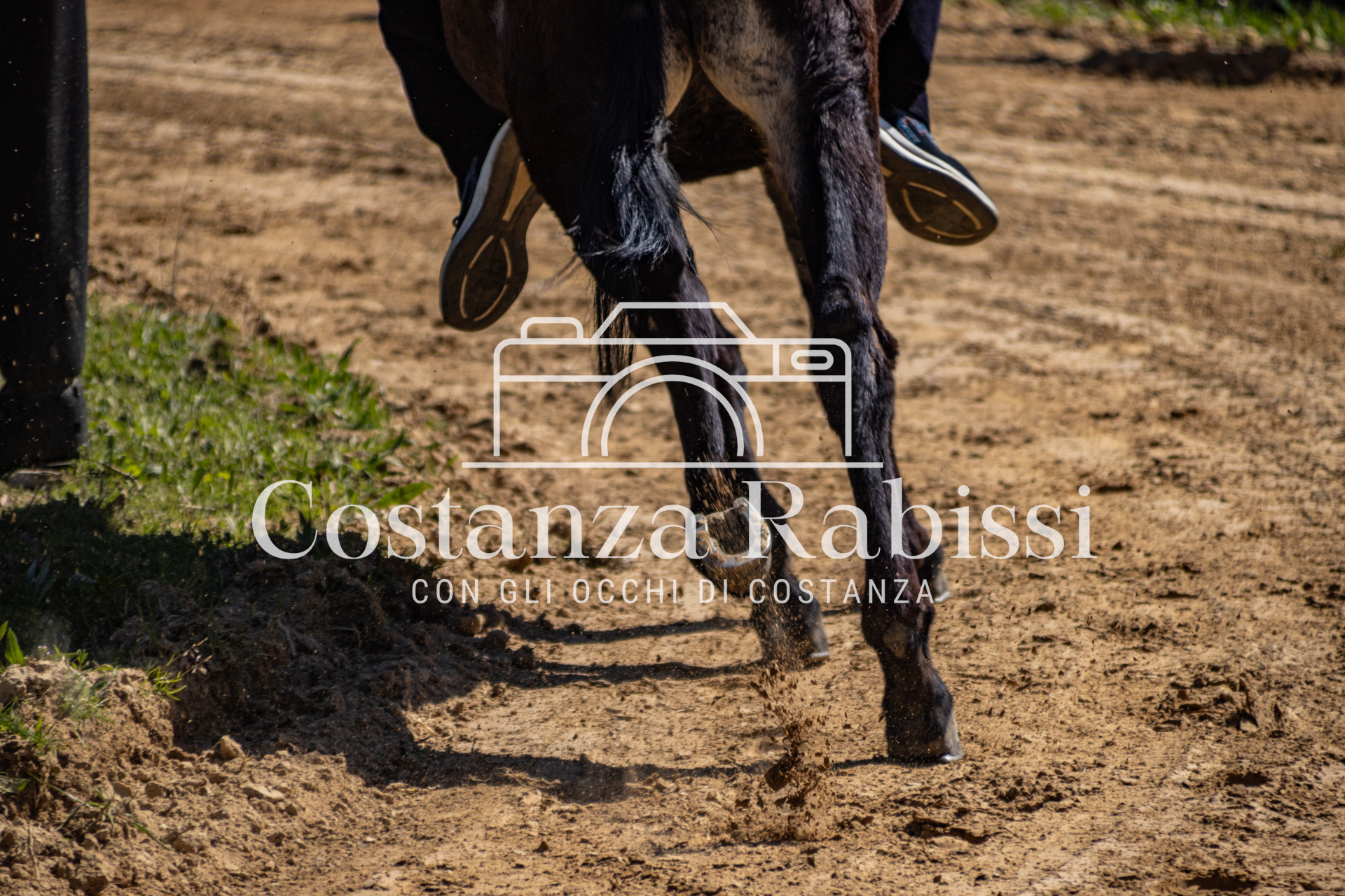 Meeting on the hills - 36