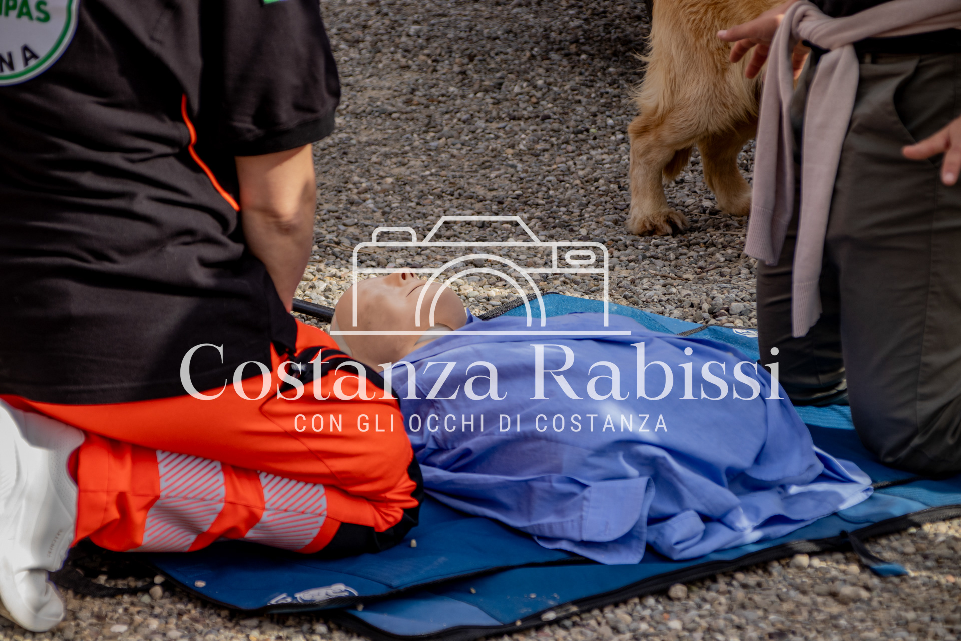 Mettiamoci in moto - 81